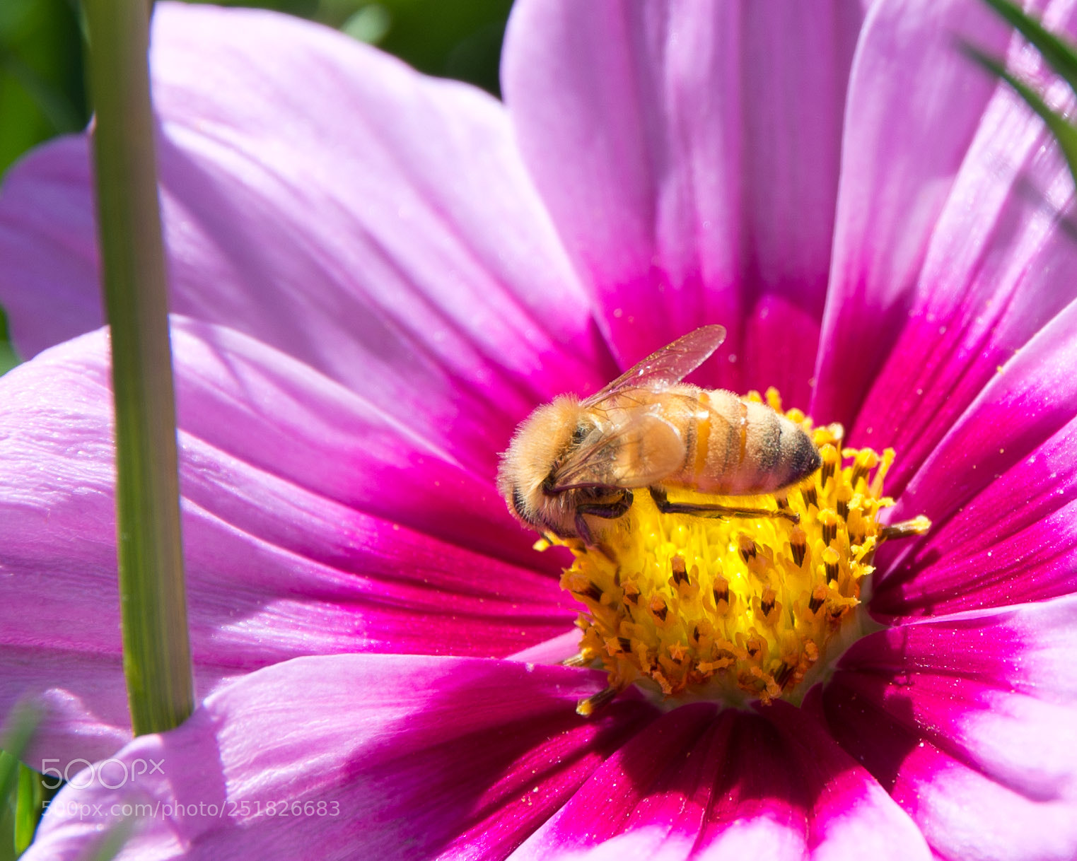 Nikon D610 sample photo. New zealand series photography