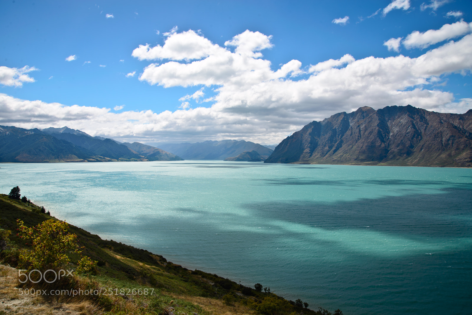 Nikon D610 sample photo. New zealand series photography