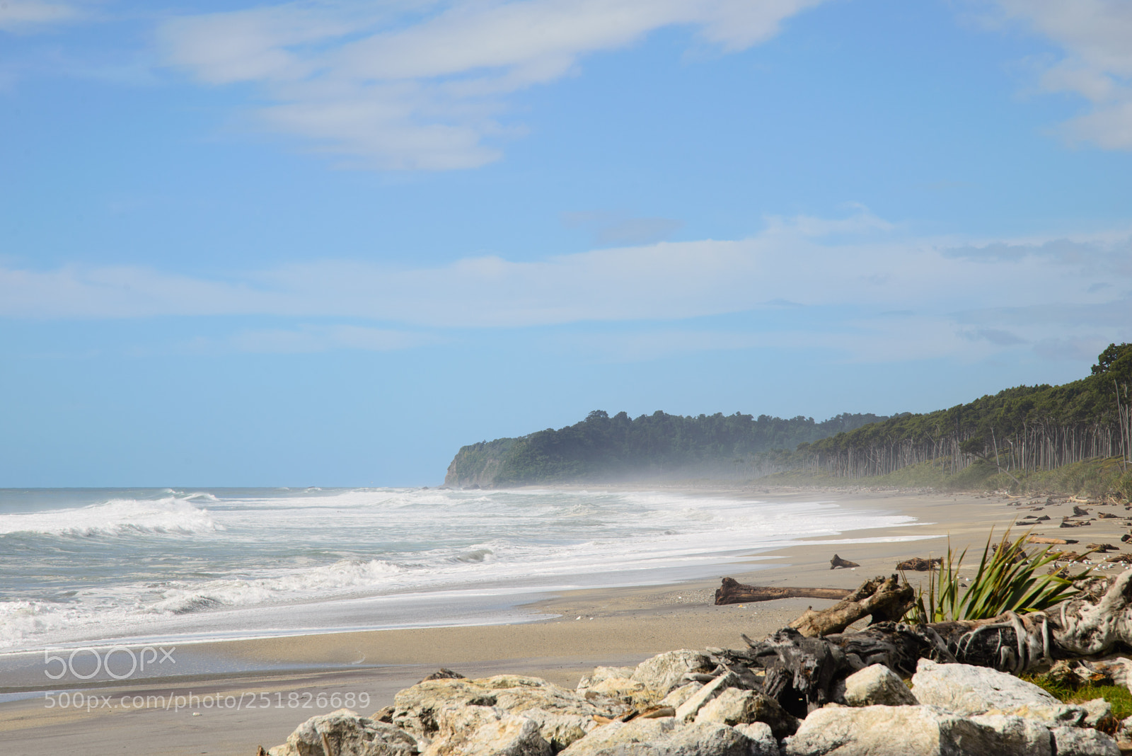 Nikon D610 sample photo. New zealand series photography