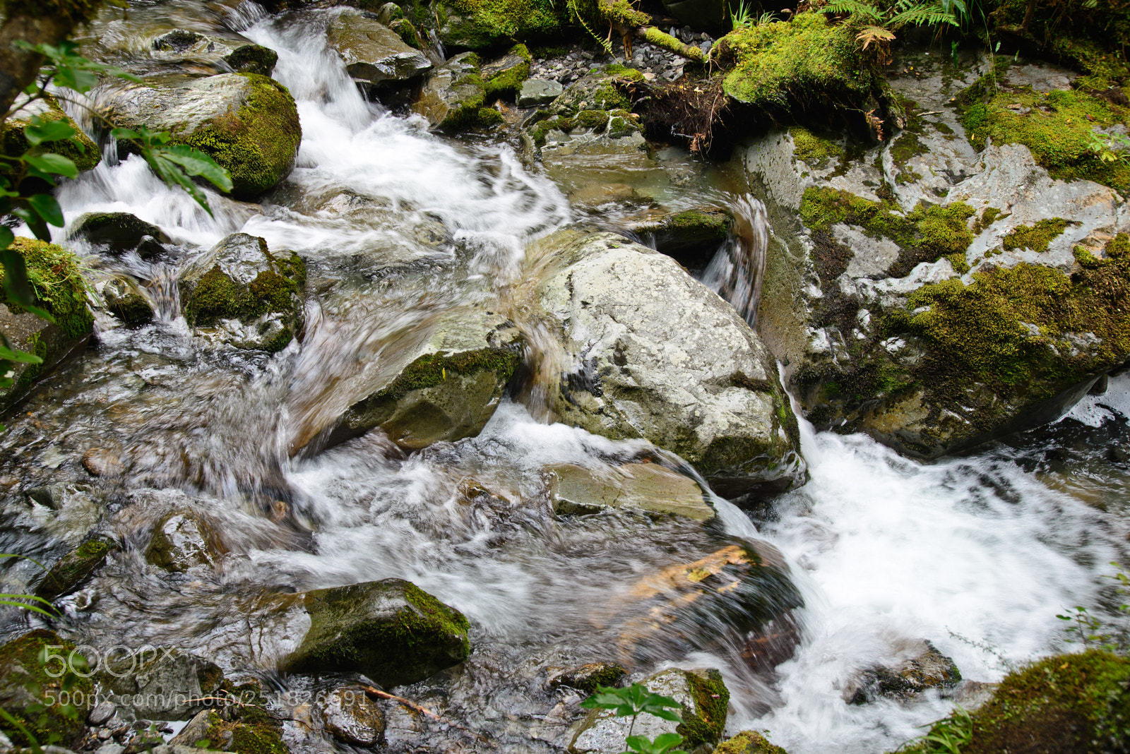 Nikon D610 sample photo. New zealand series photography