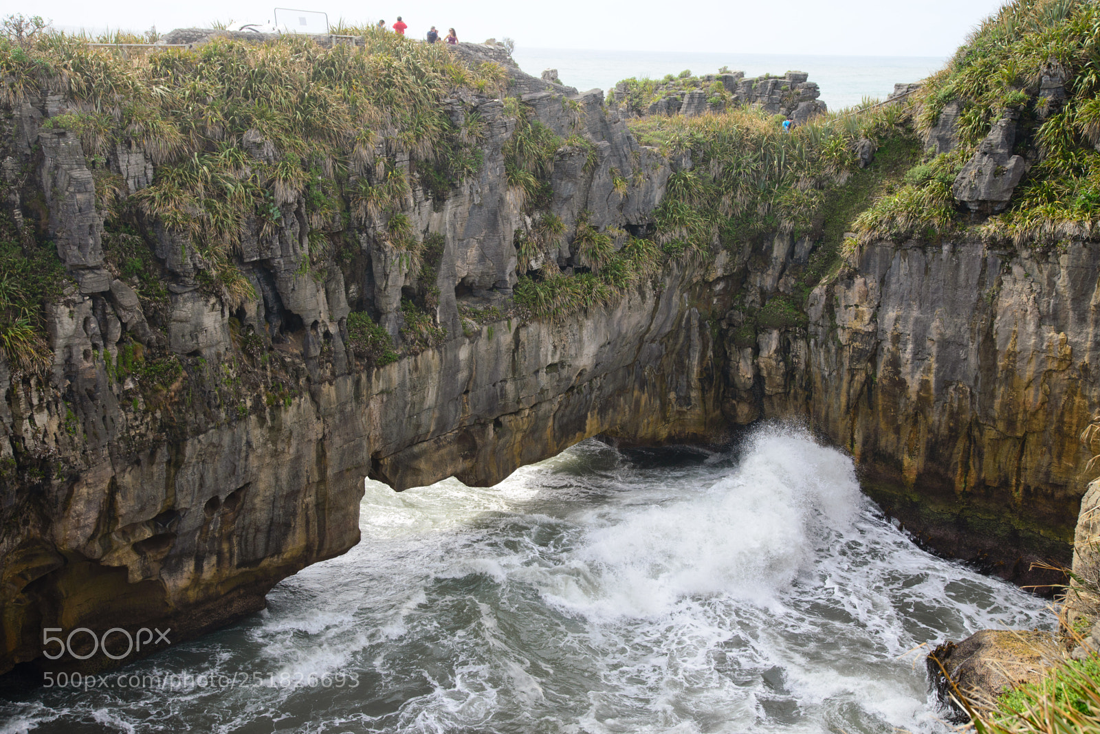 Nikon D610 sample photo. New zealand series photography