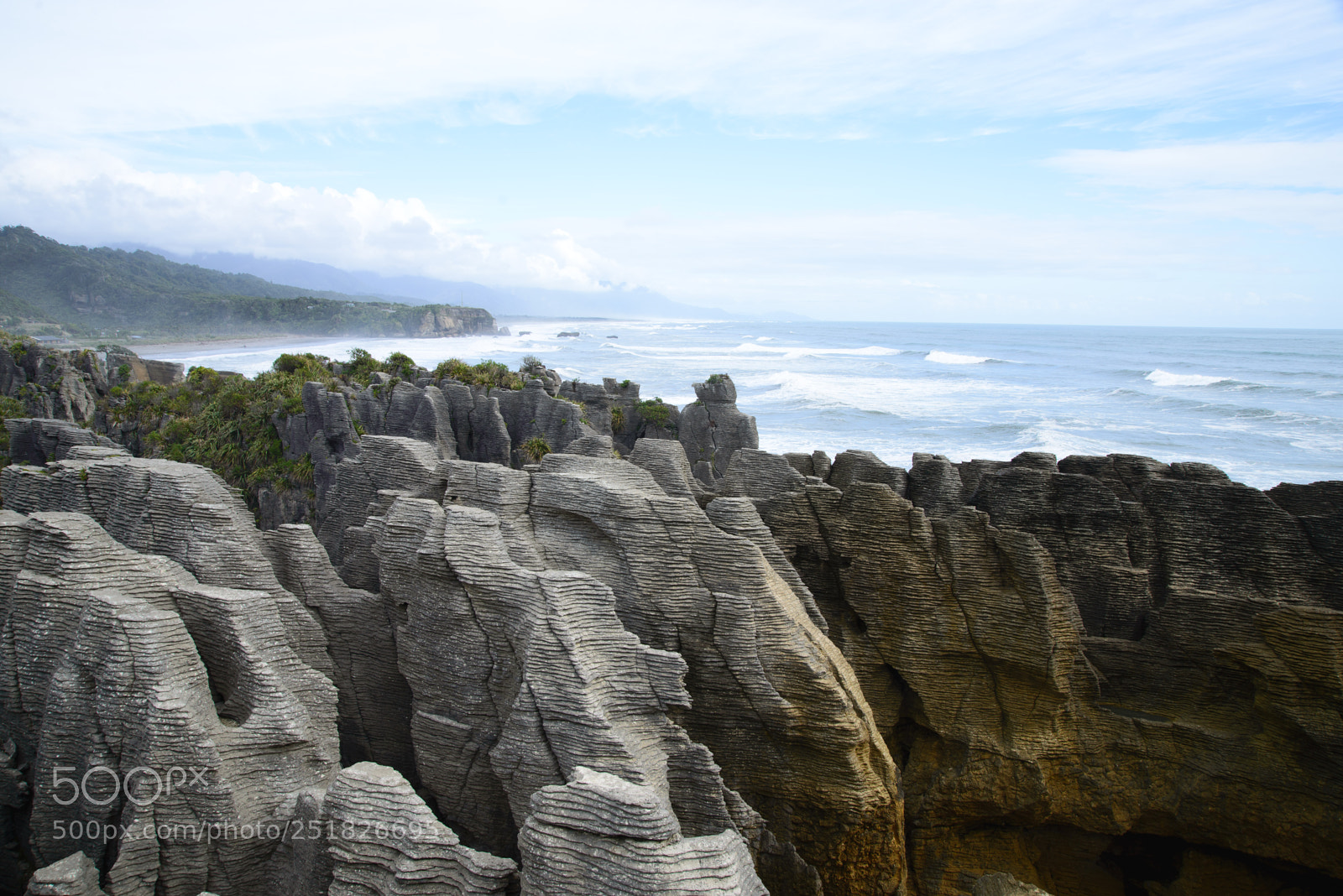 Nikon D610 sample photo. New zealand series photography