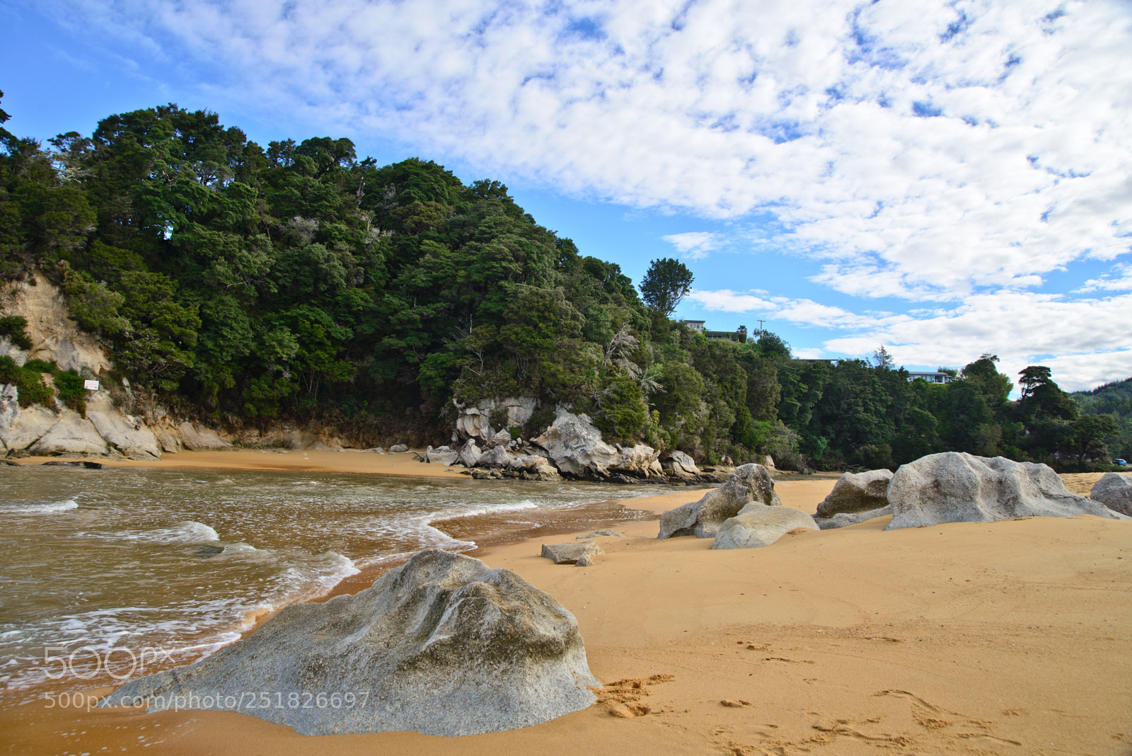 Nikon D610 sample photo. New zealand series photography