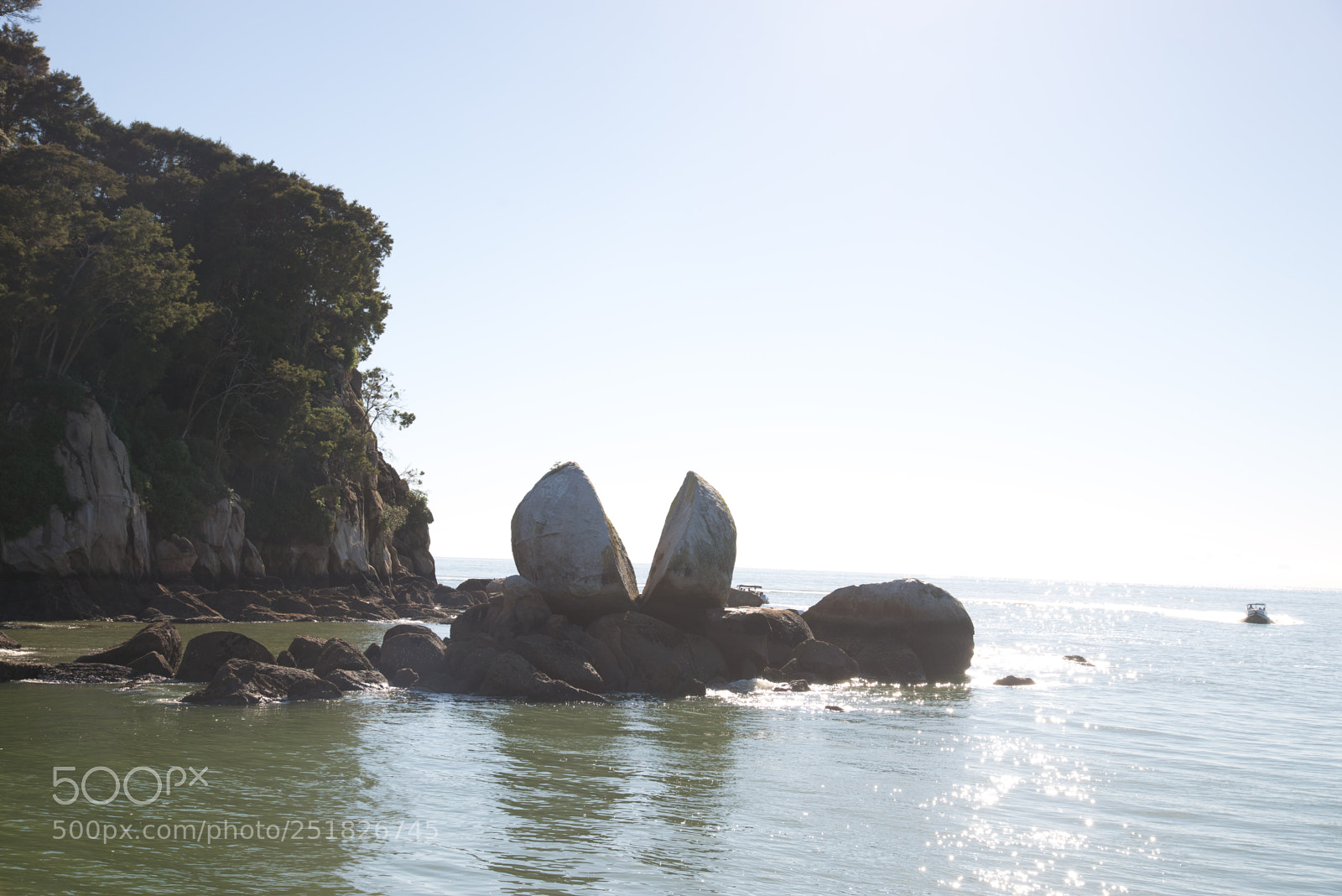 Nikon D610 sample photo. New zealand series photography