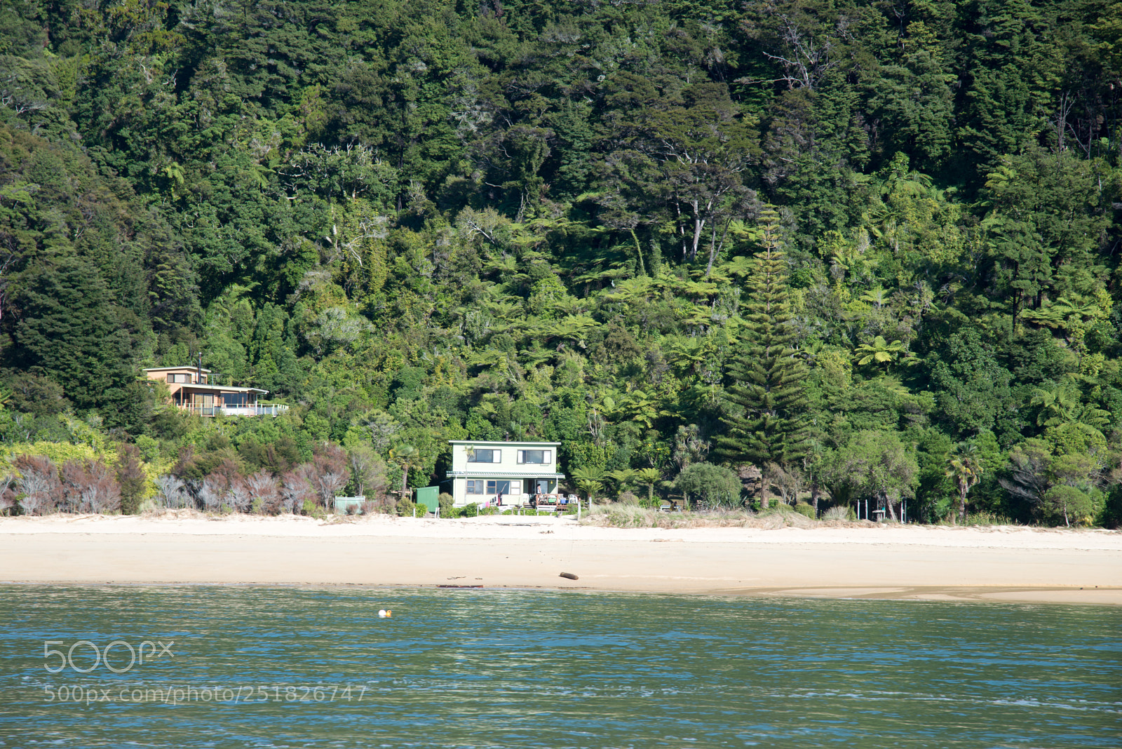 Nikon D610 sample photo. New zealand series photography