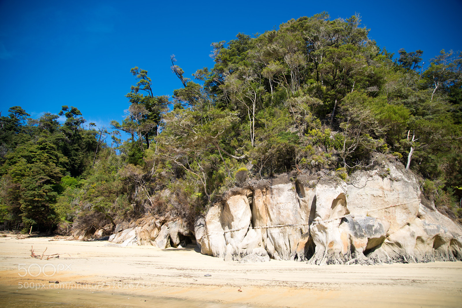 Nikon D610 sample photo. New zealand series photography
