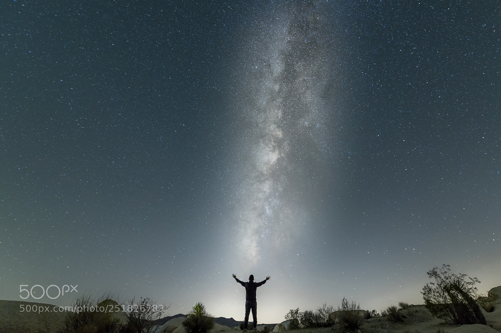 Nikon D5 sample photo. Milkway in joshua tree photography