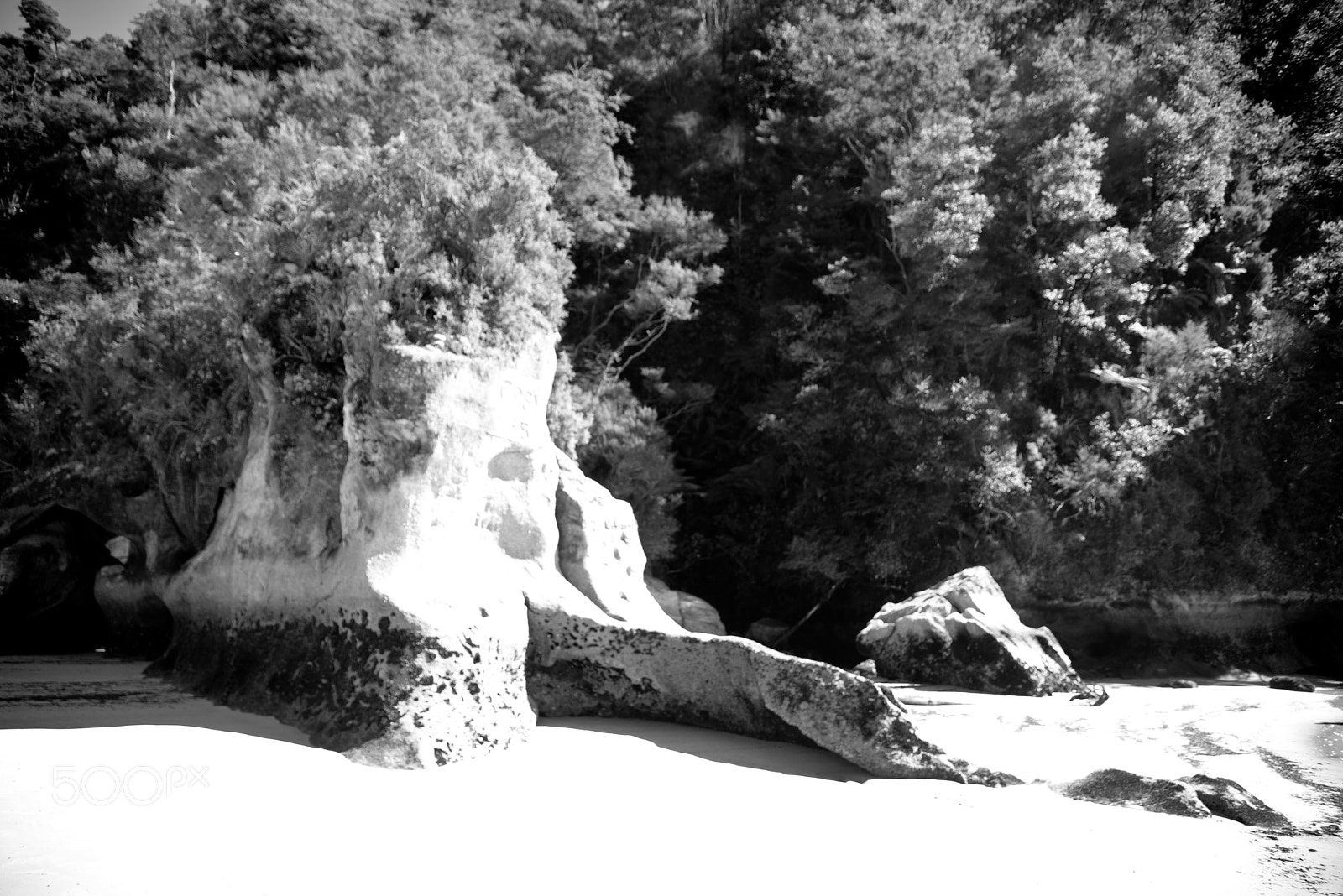Nikon D610 sample photo. New zealand series photography