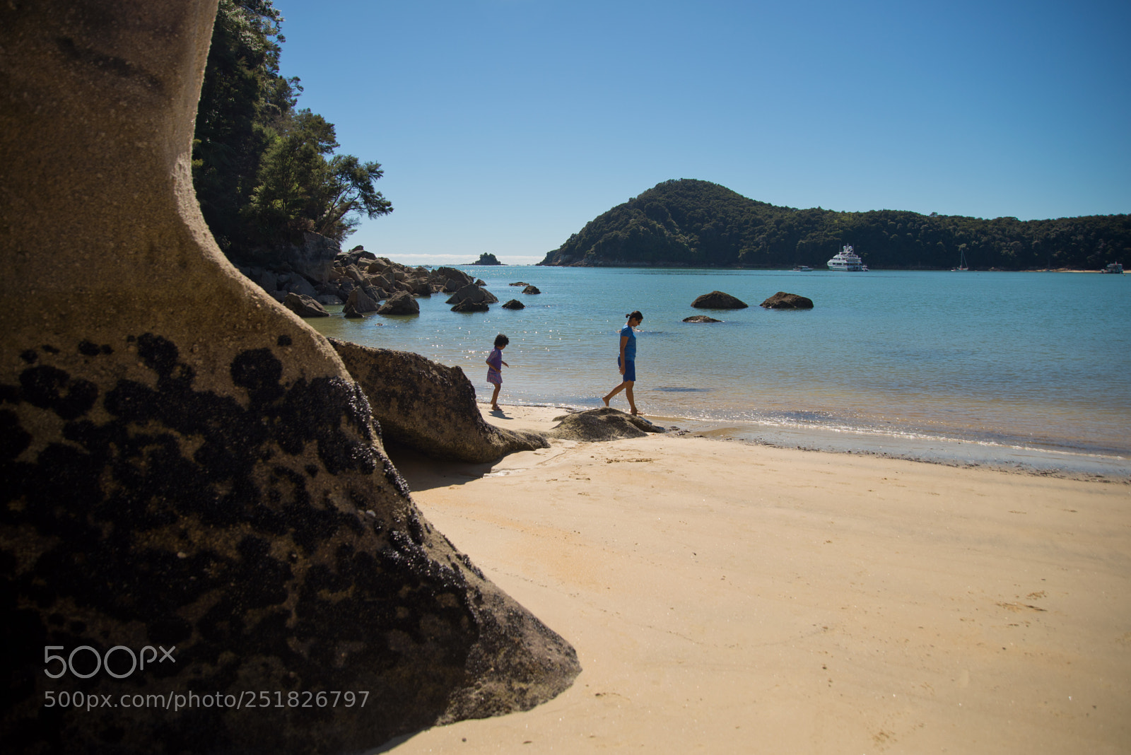 Nikon D610 sample photo. New zealand series photography
