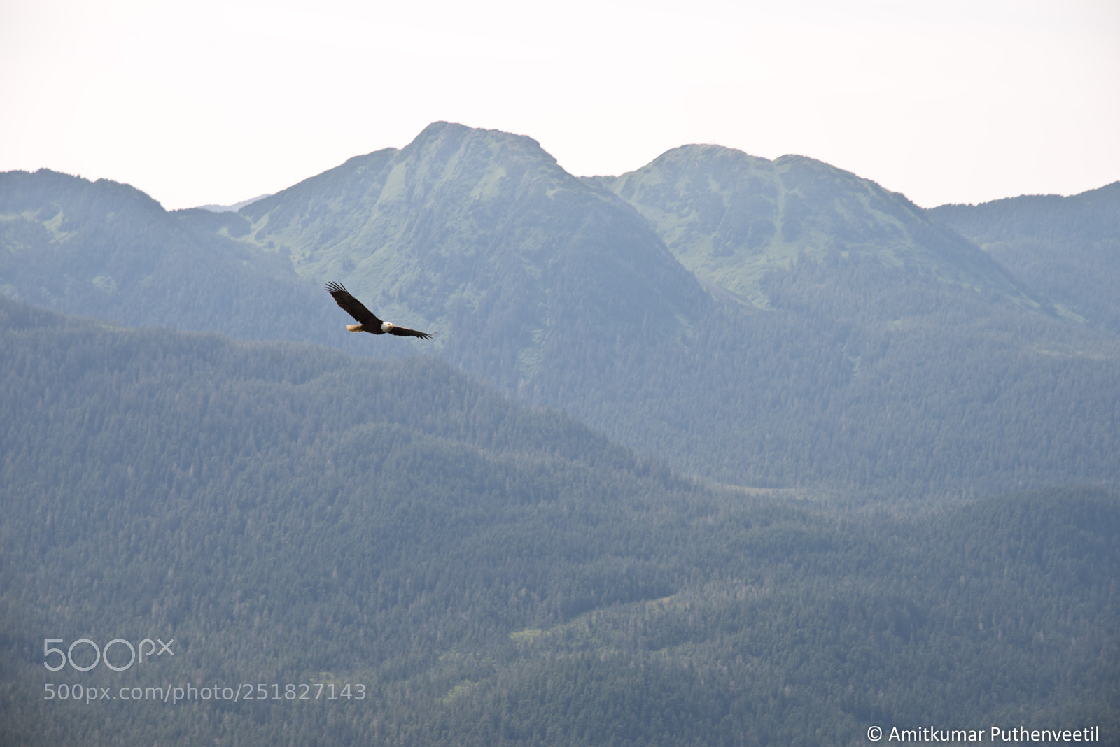 Nikon D610 sample photo. Alaska series photography