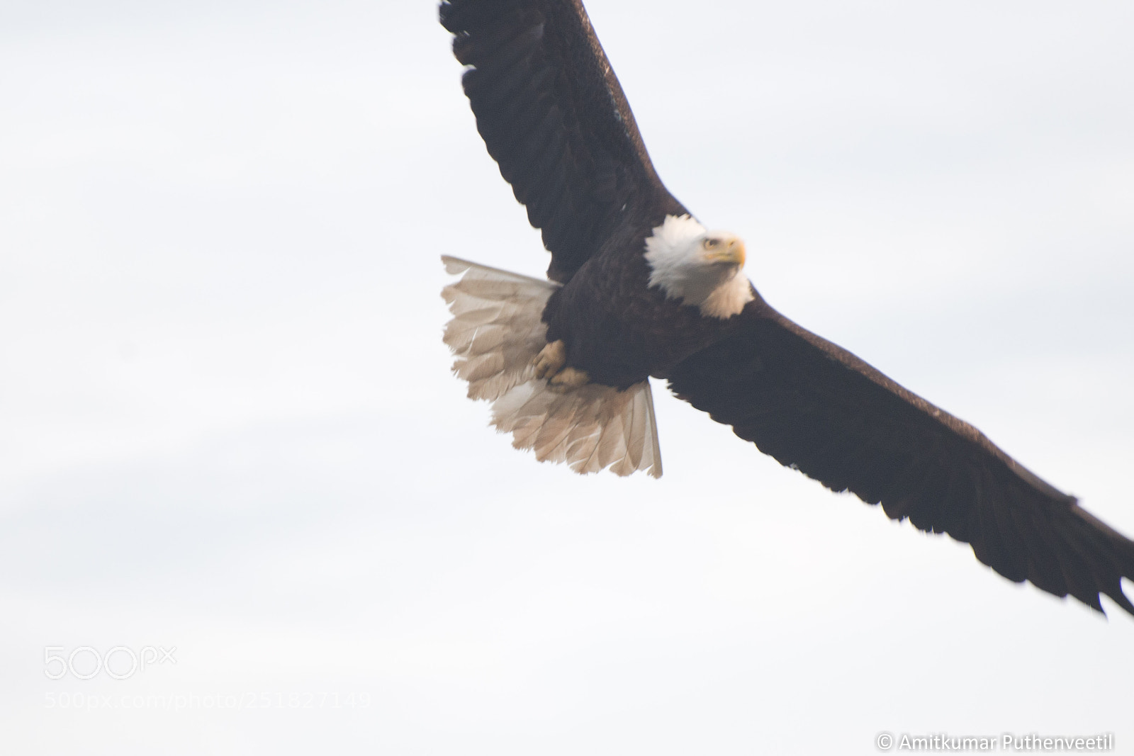 Nikon D610 sample photo. Alaska series photography