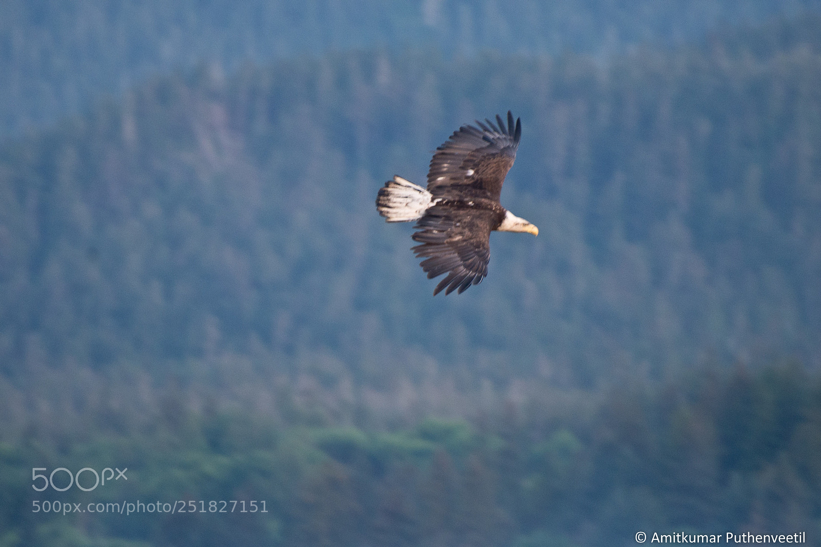 Nikon D610 sample photo. Alaska series photography