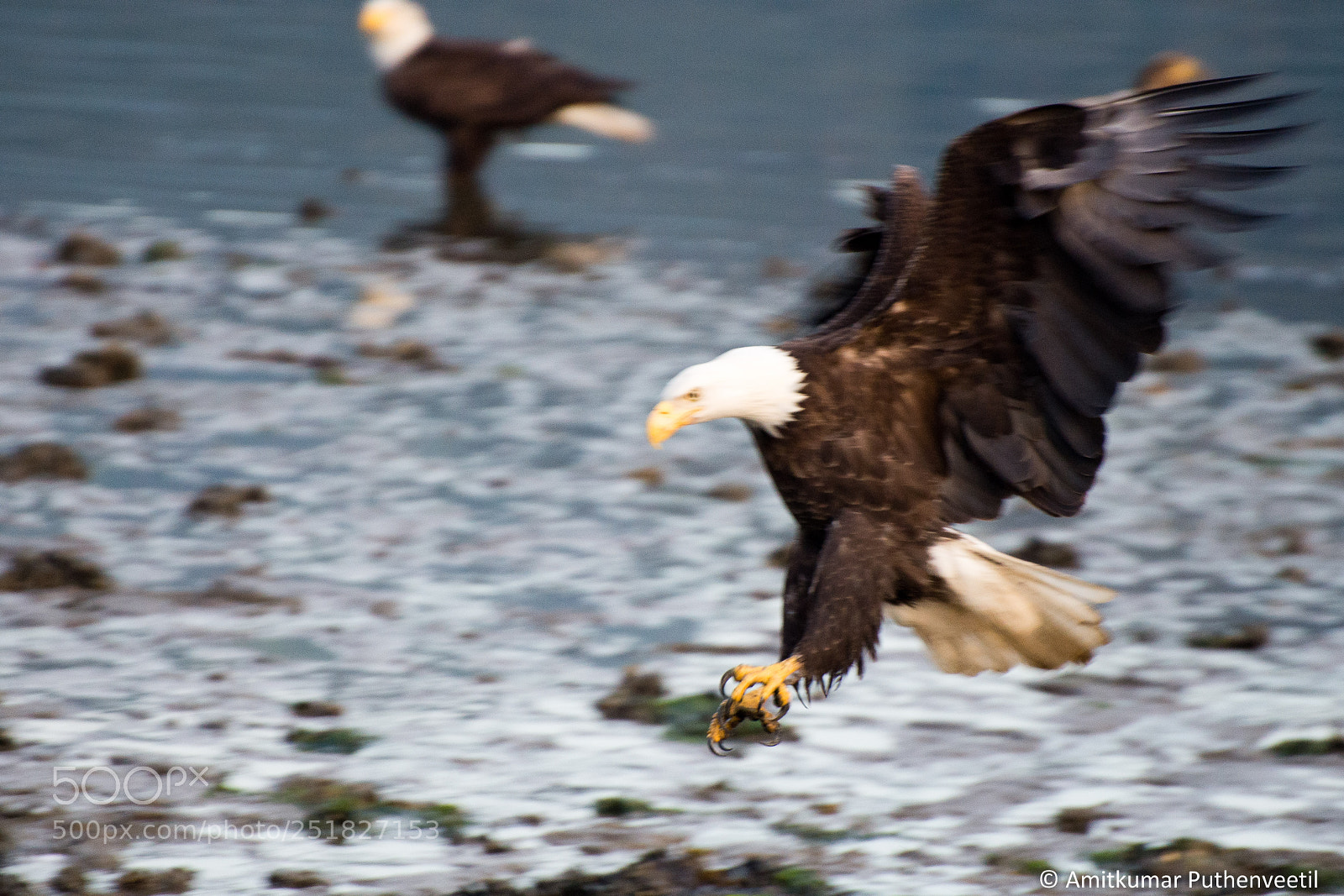 Nikon D610 sample photo. Alaska series photography
