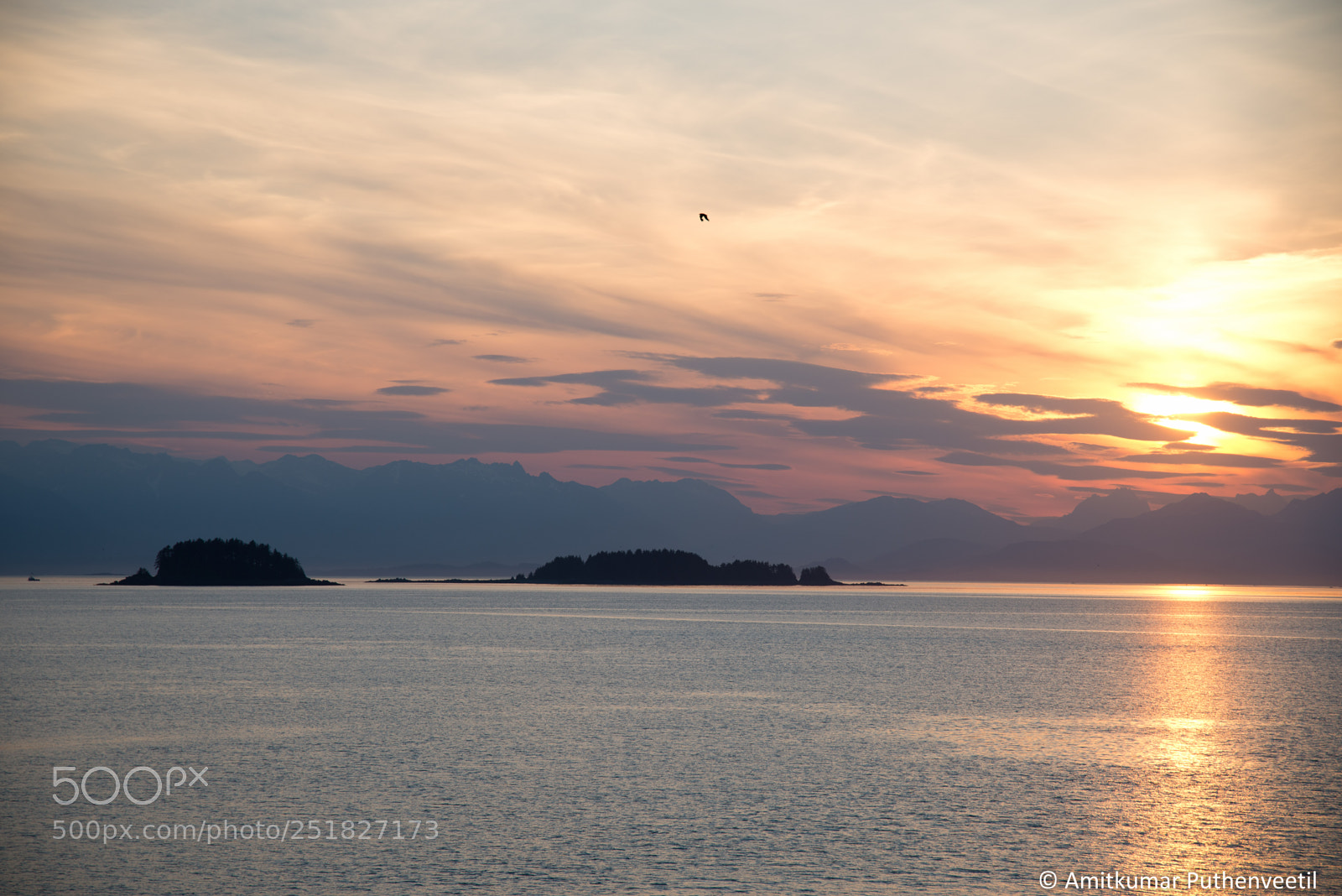 Nikon D610 sample photo. Alaska series photography