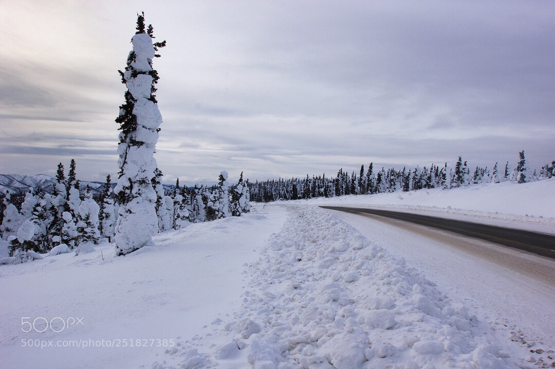 Canon EOS 550D (EOS Rebel T2i / EOS Kiss X4) sample photo. The frozen highway  photography