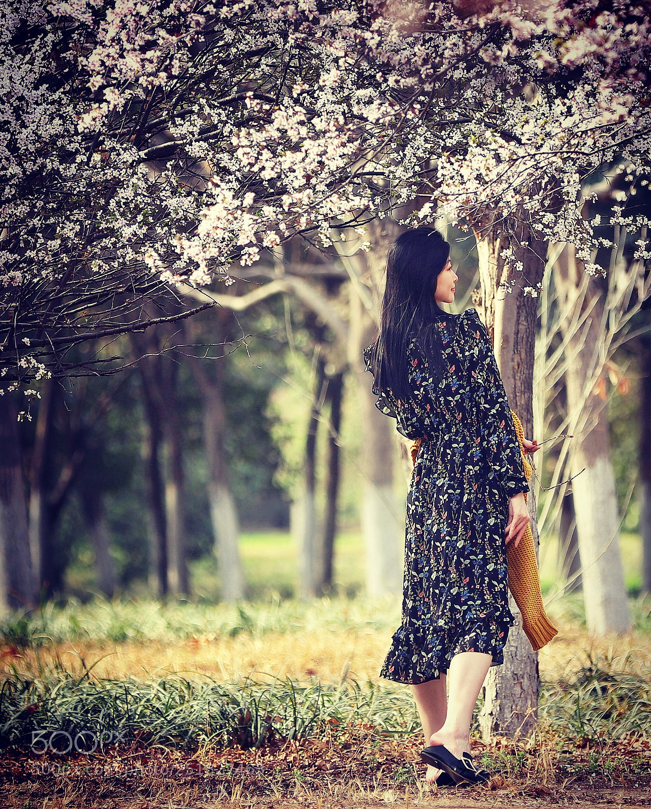 Canon EOS 6D Mark II sample photo. 李花白 photography