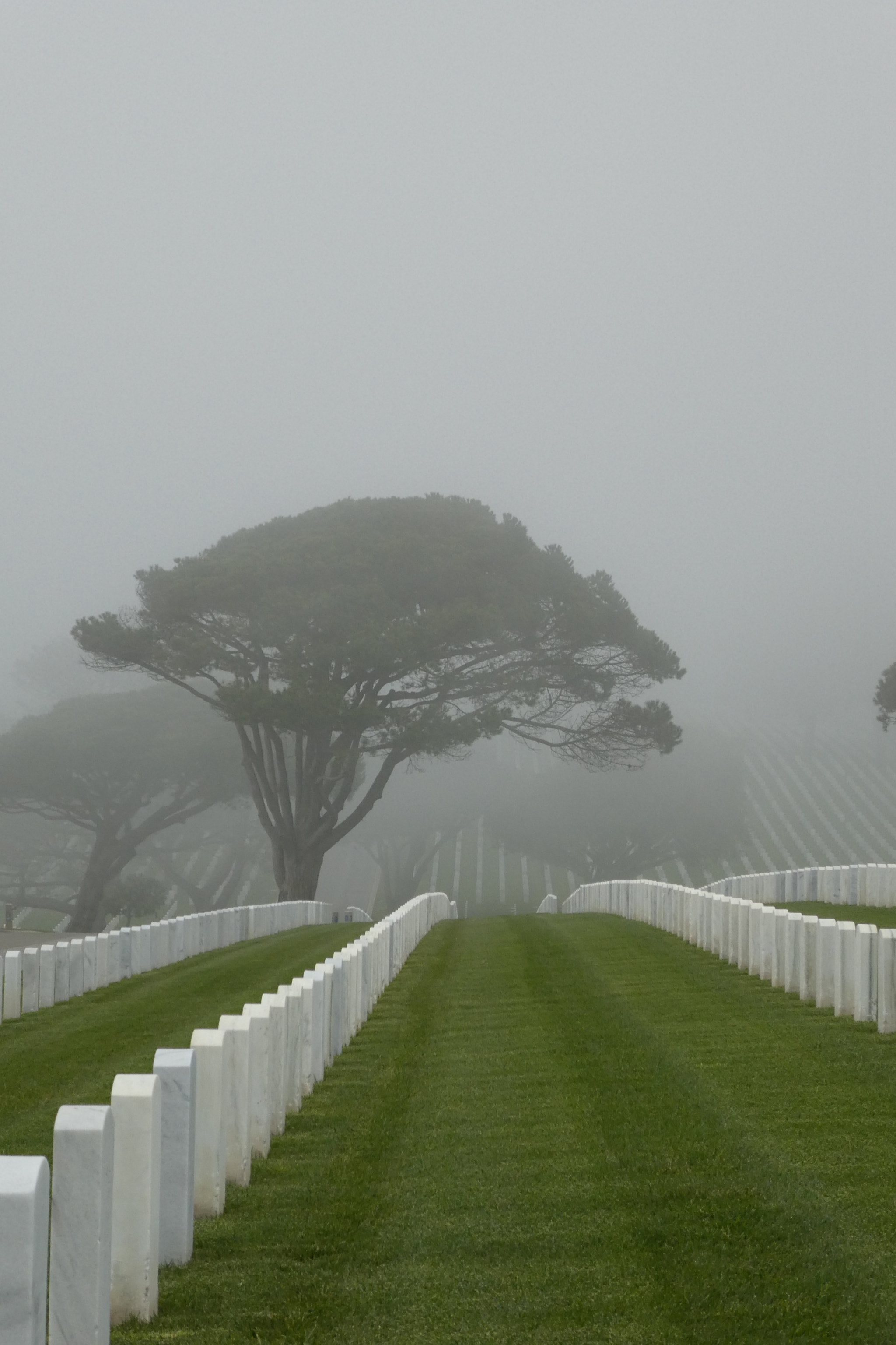 Panasonic DMC-ZS60 sample photo. Honoring the military veterans photography