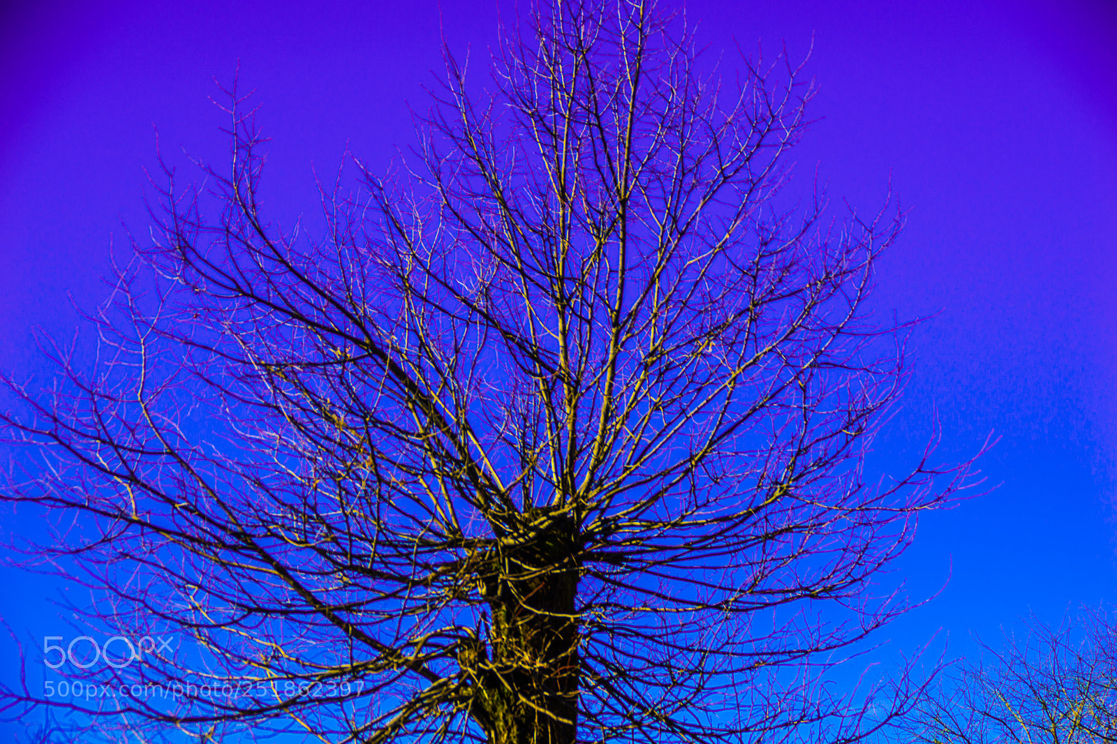 Sony a5100 sample photo. Walking to rusio photography
