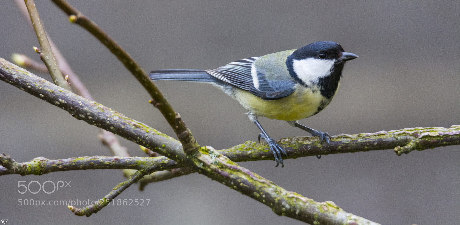 Nikon D5200 sample photo. 24348036.jpg photography