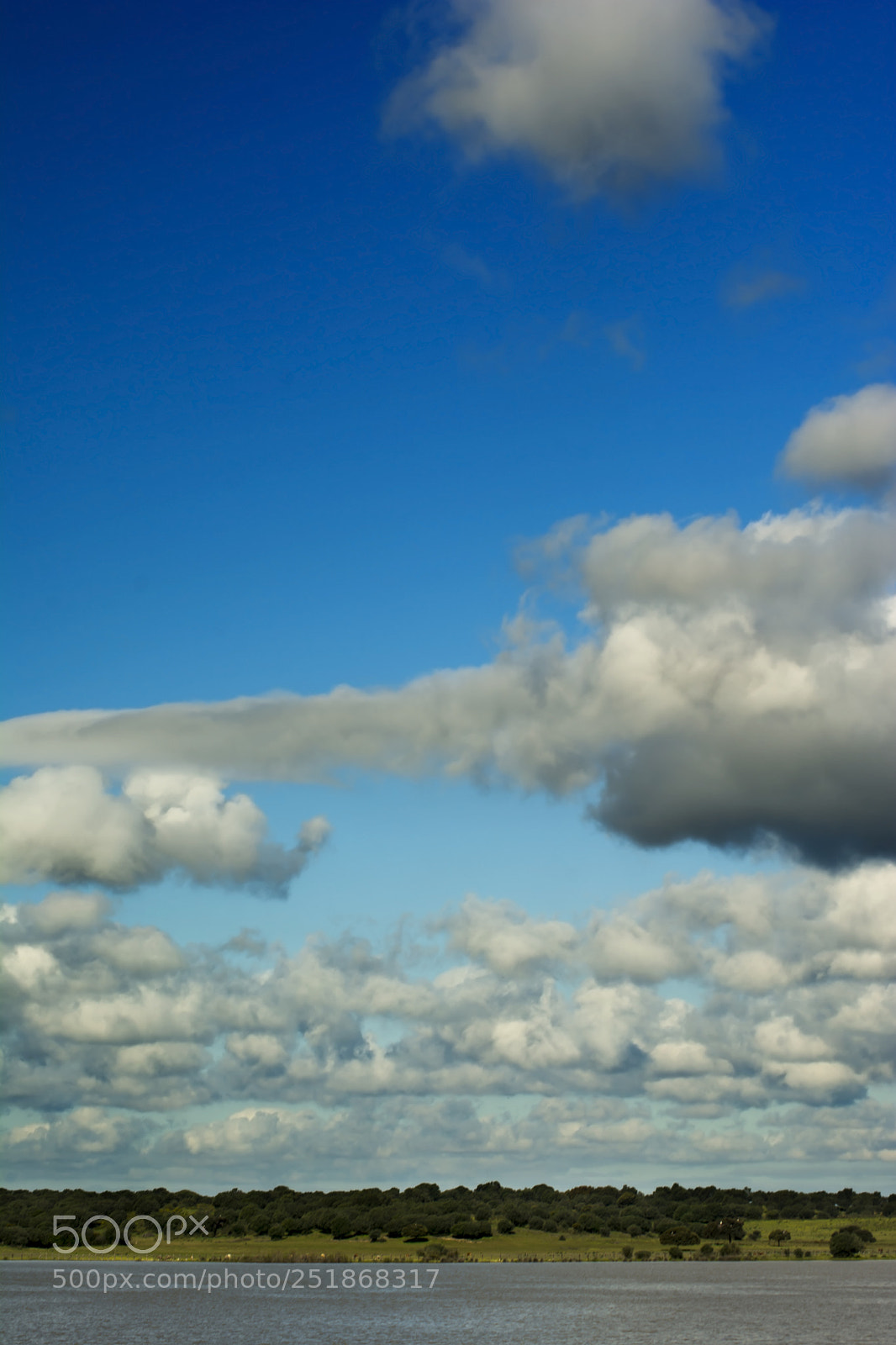 Nikon D7100 sample photo. Blue sky full of photography