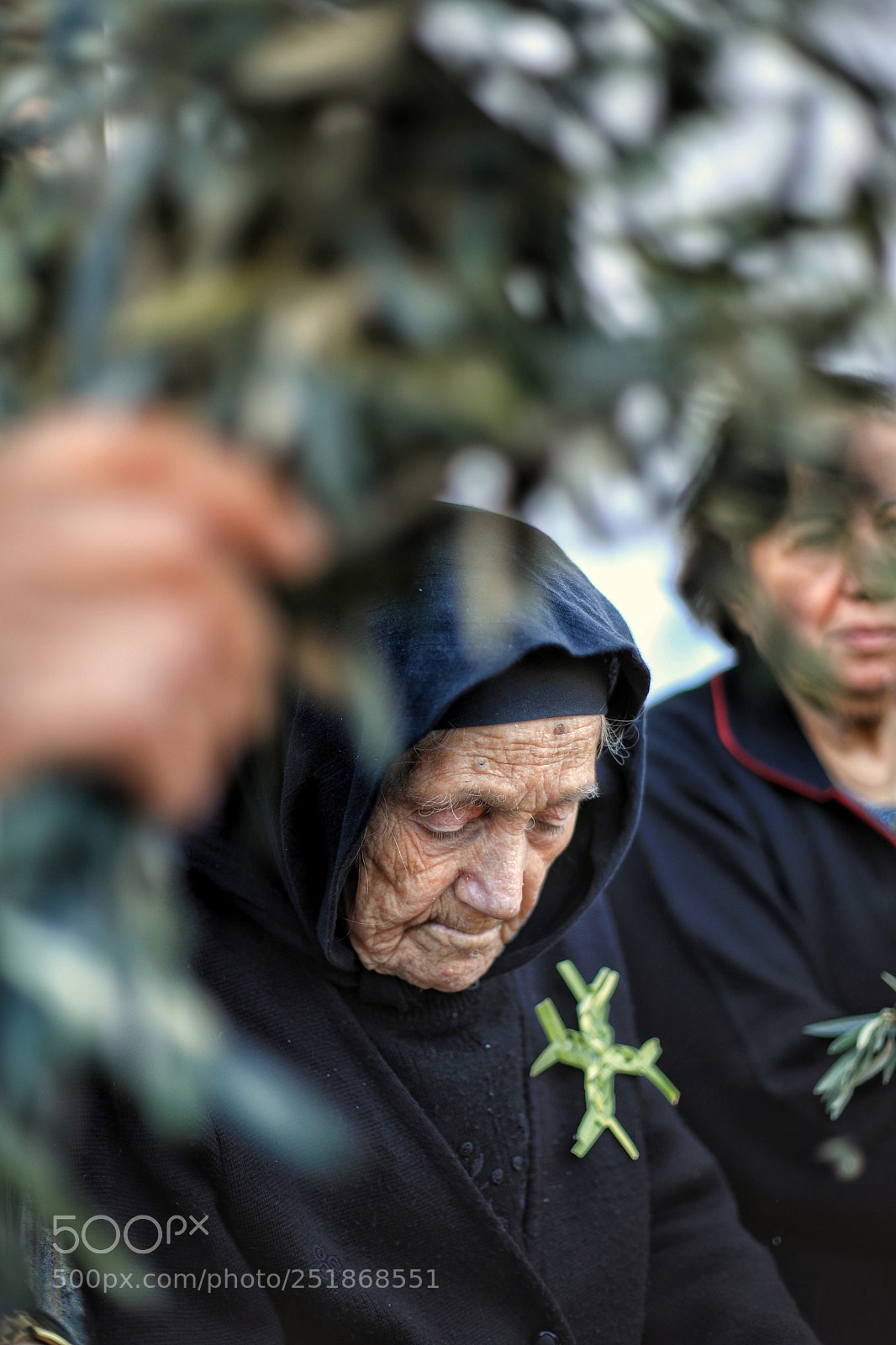 Canon EOS 5D Mark IV sample photo. Palm sunday photography