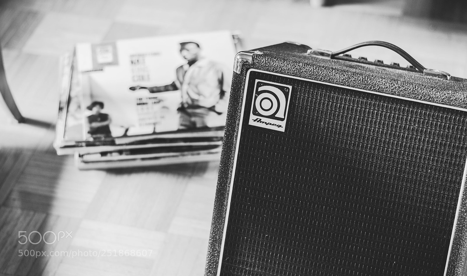 Nikon D300 sample photo. Ampeg sw photography