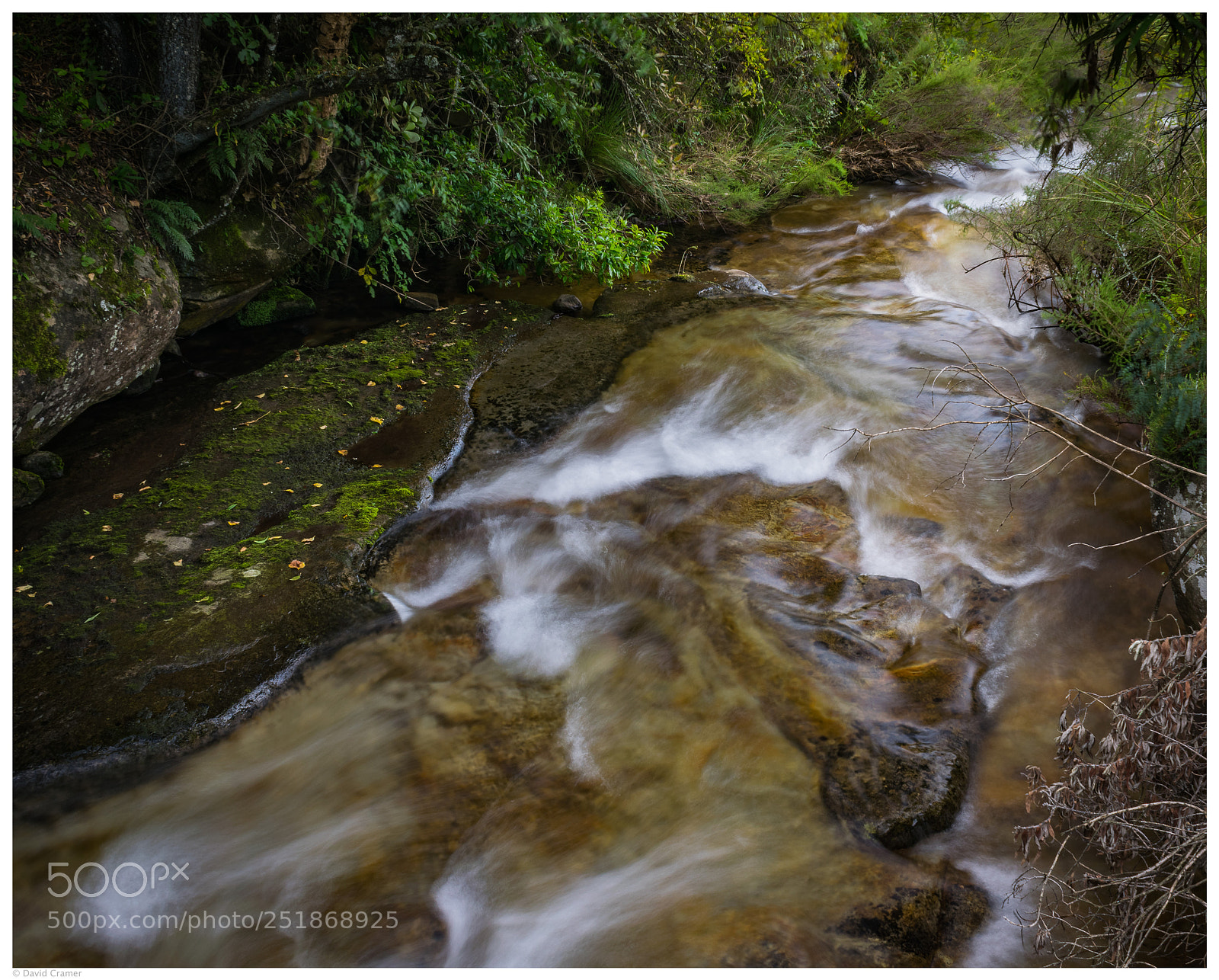 Nikon D5300 sample photo. Old woman stream photography