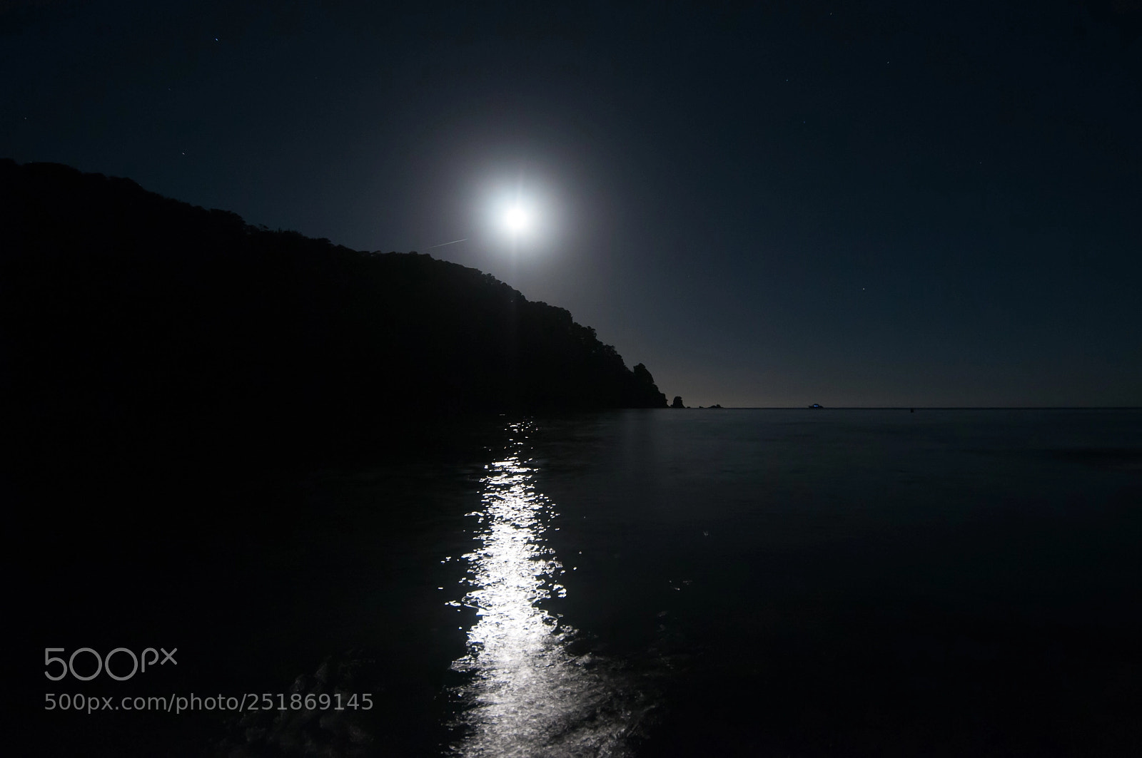 Nikon D300 sample photo. Moonlit night at totaranui photography