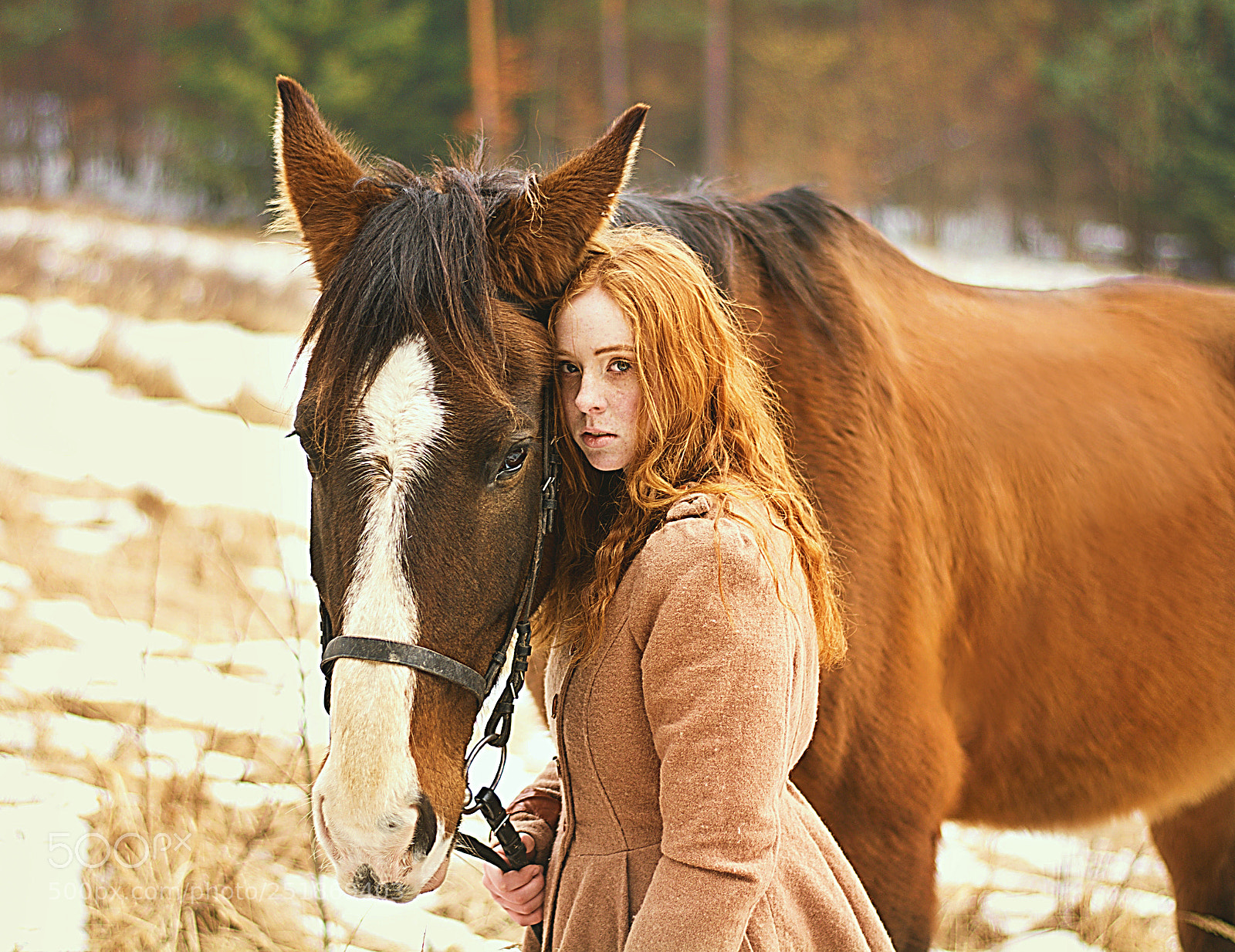 Nikon D7100 sample photo. Girl with horse photography