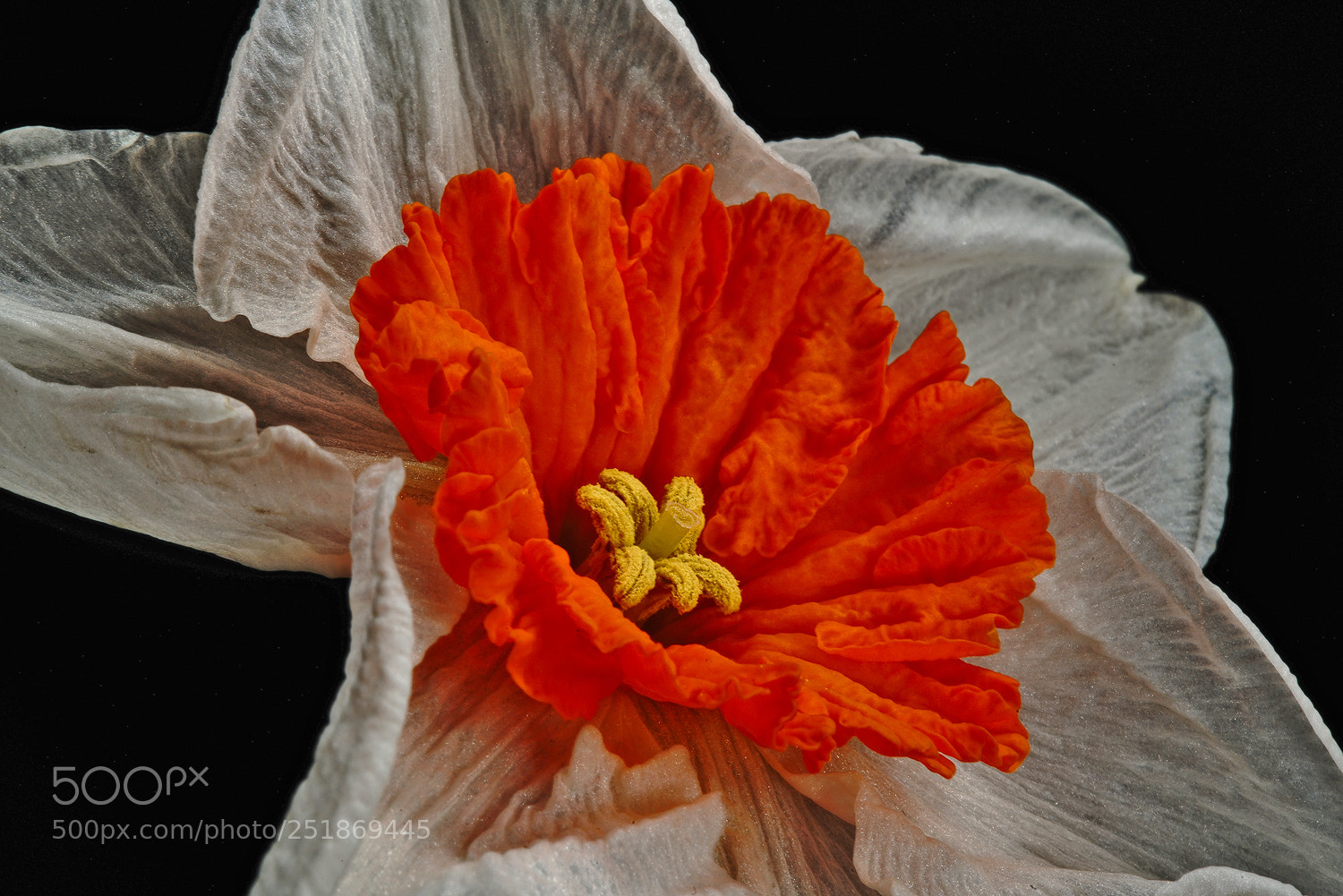 Sony a7R II sample photo. Crinkley to the max photography