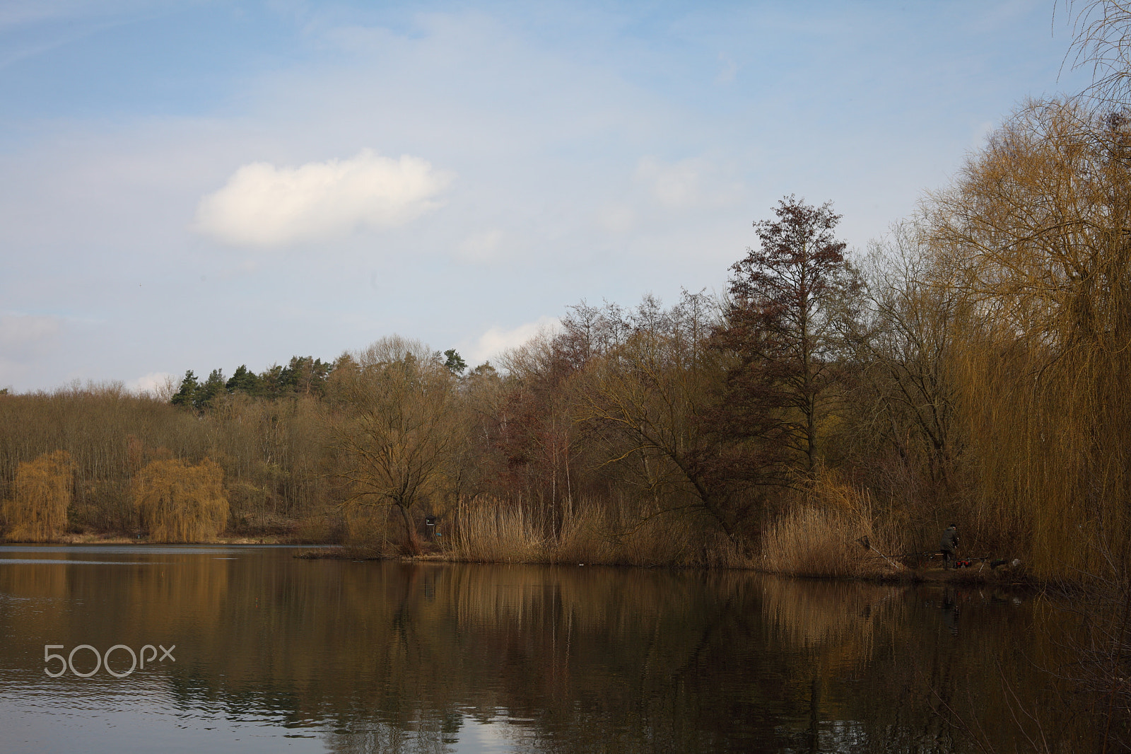 Canon EF 28-80mm f/3.5-5.6 sample photo. Spring time photography