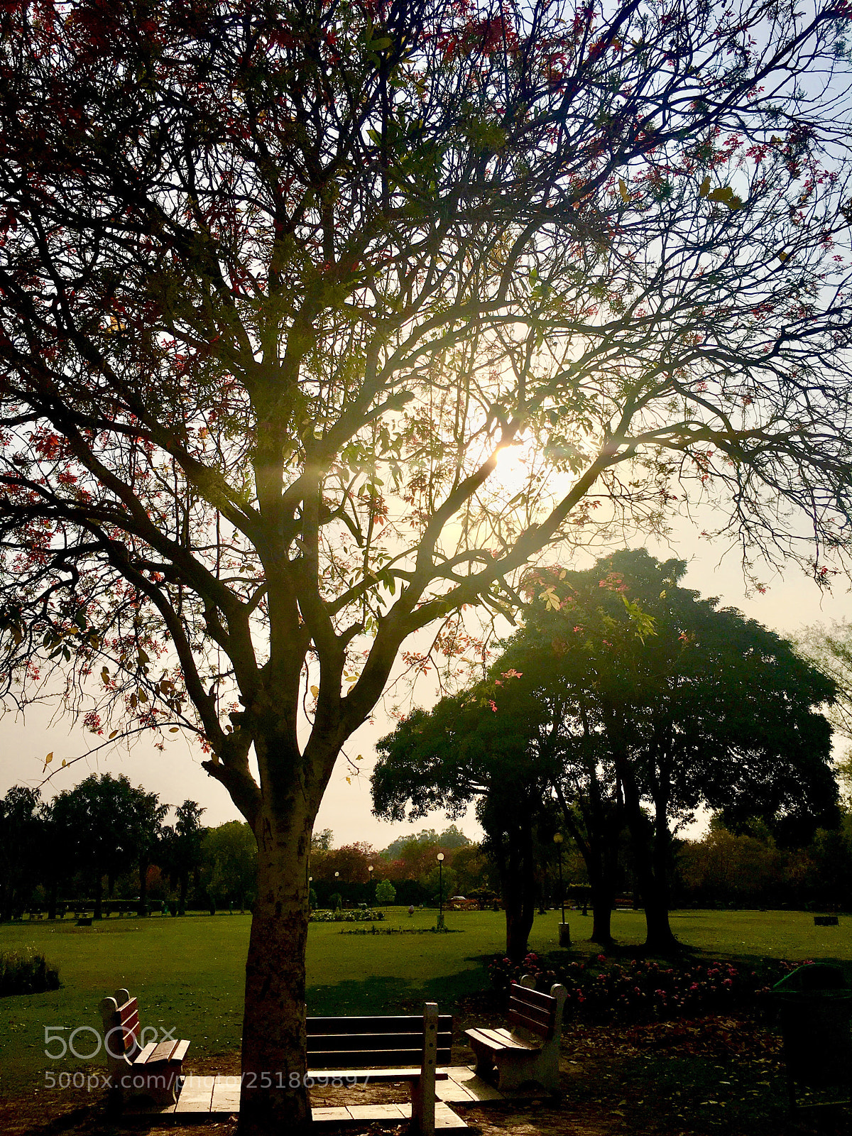 Apple iPhone 6s Plus sample photo. Nostalgic photography