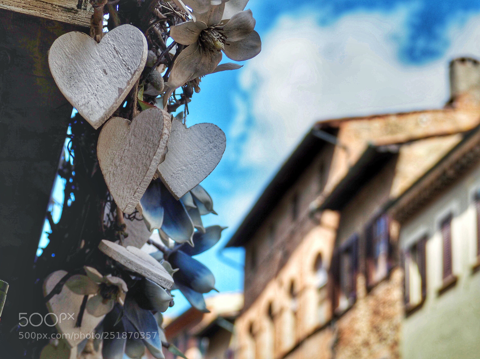 Olympus OM-D E-M5 II sample photo. All we need is photography