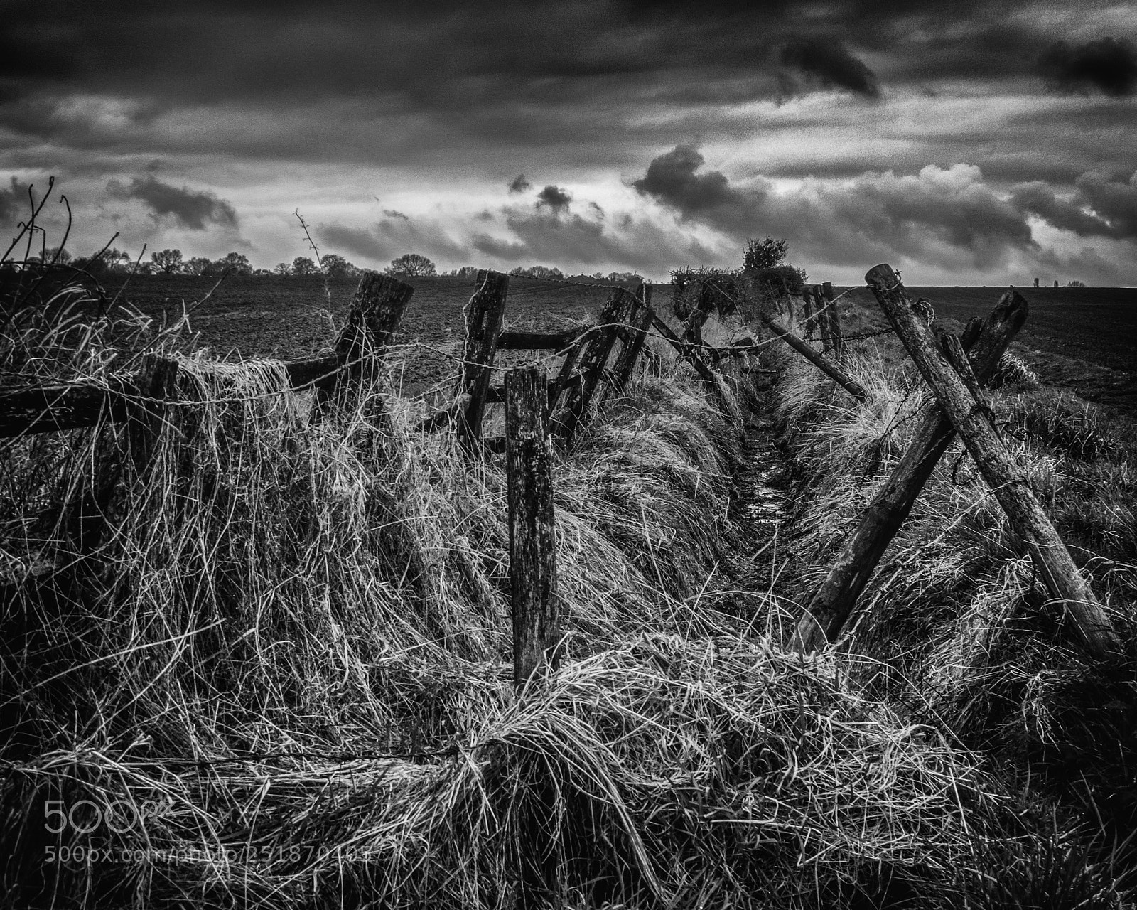 Sony ILCA-77M2 sample photo. The fence photography