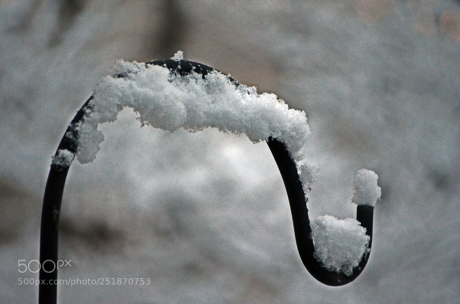 Nikon D5100 sample photo. Not quite spring photography