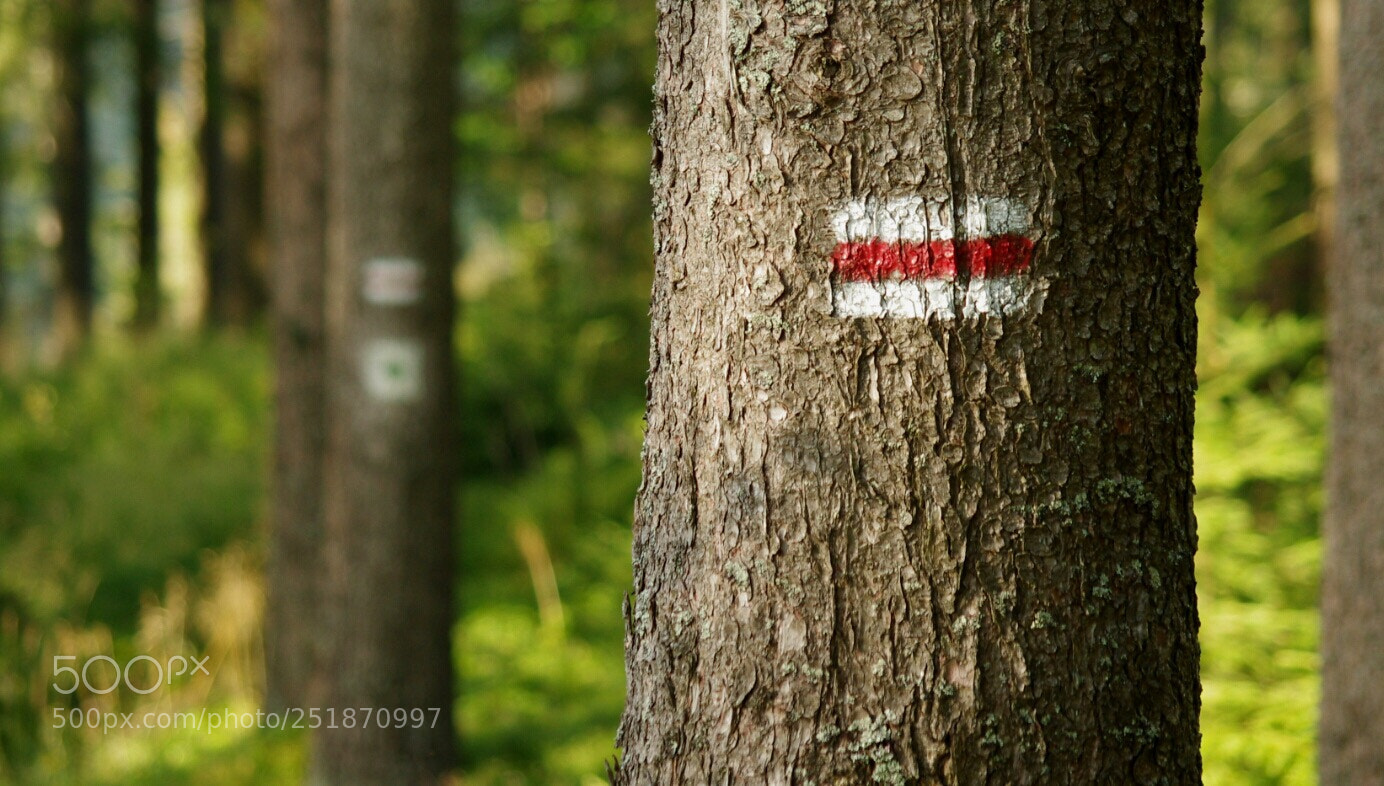 Pentax K-r sample photo. Untitled photography