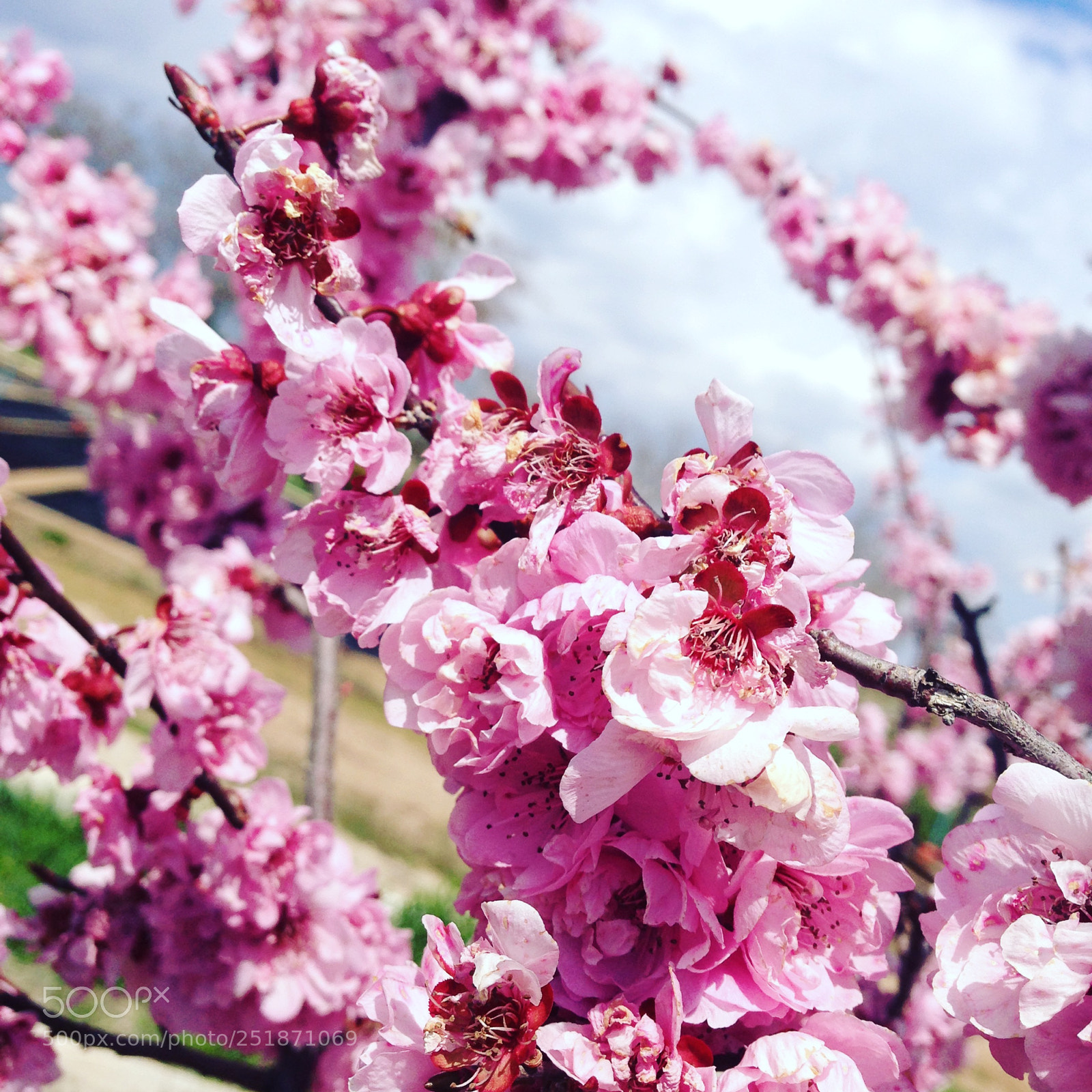 Apple iPhone 5 sample photo. [] photography
