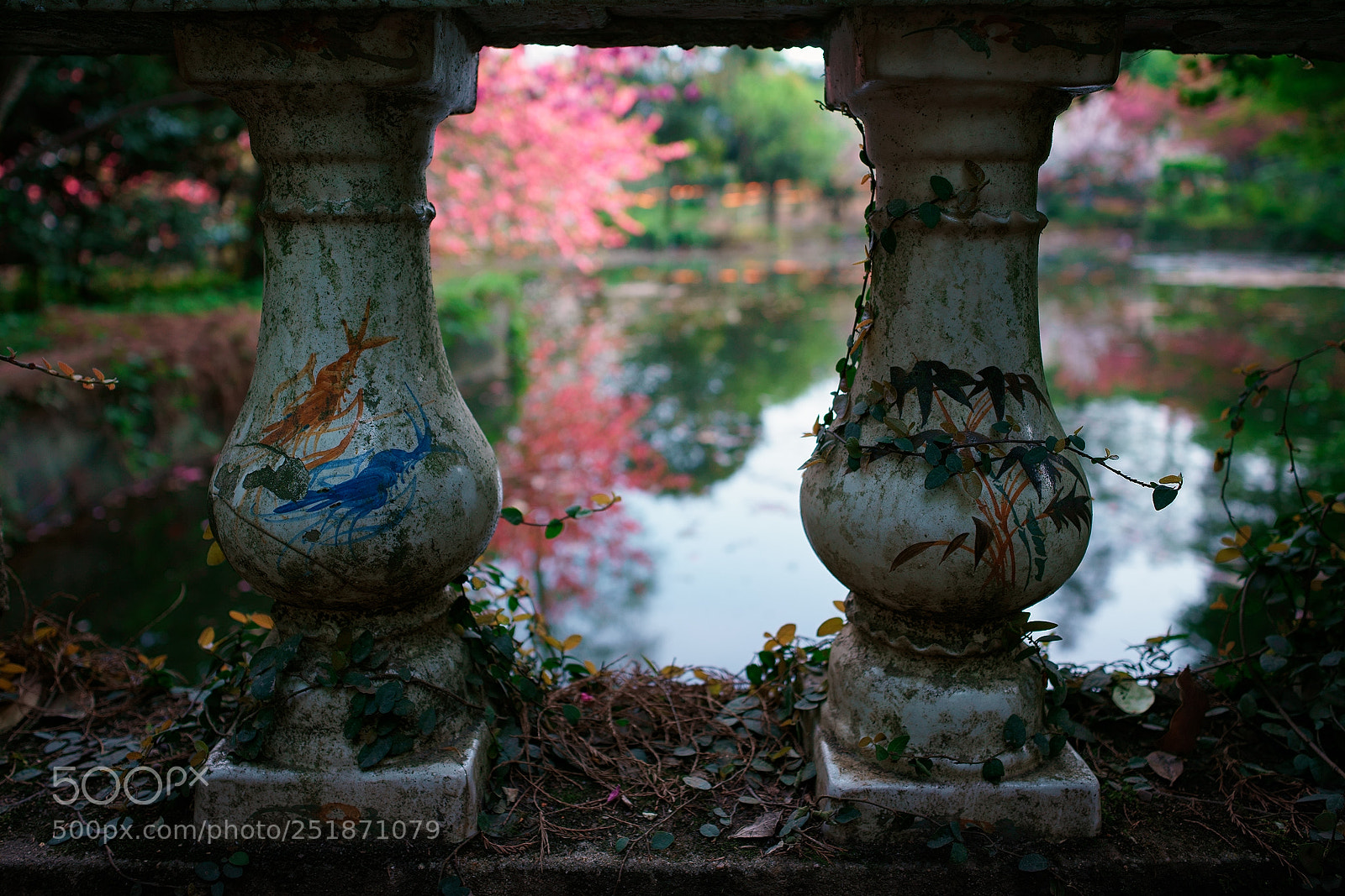Sony a7 sample photo. 花映春江水 photography