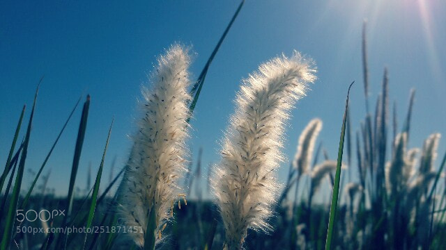 Samsung Galaxy J7 sample photo. Untitled photography
