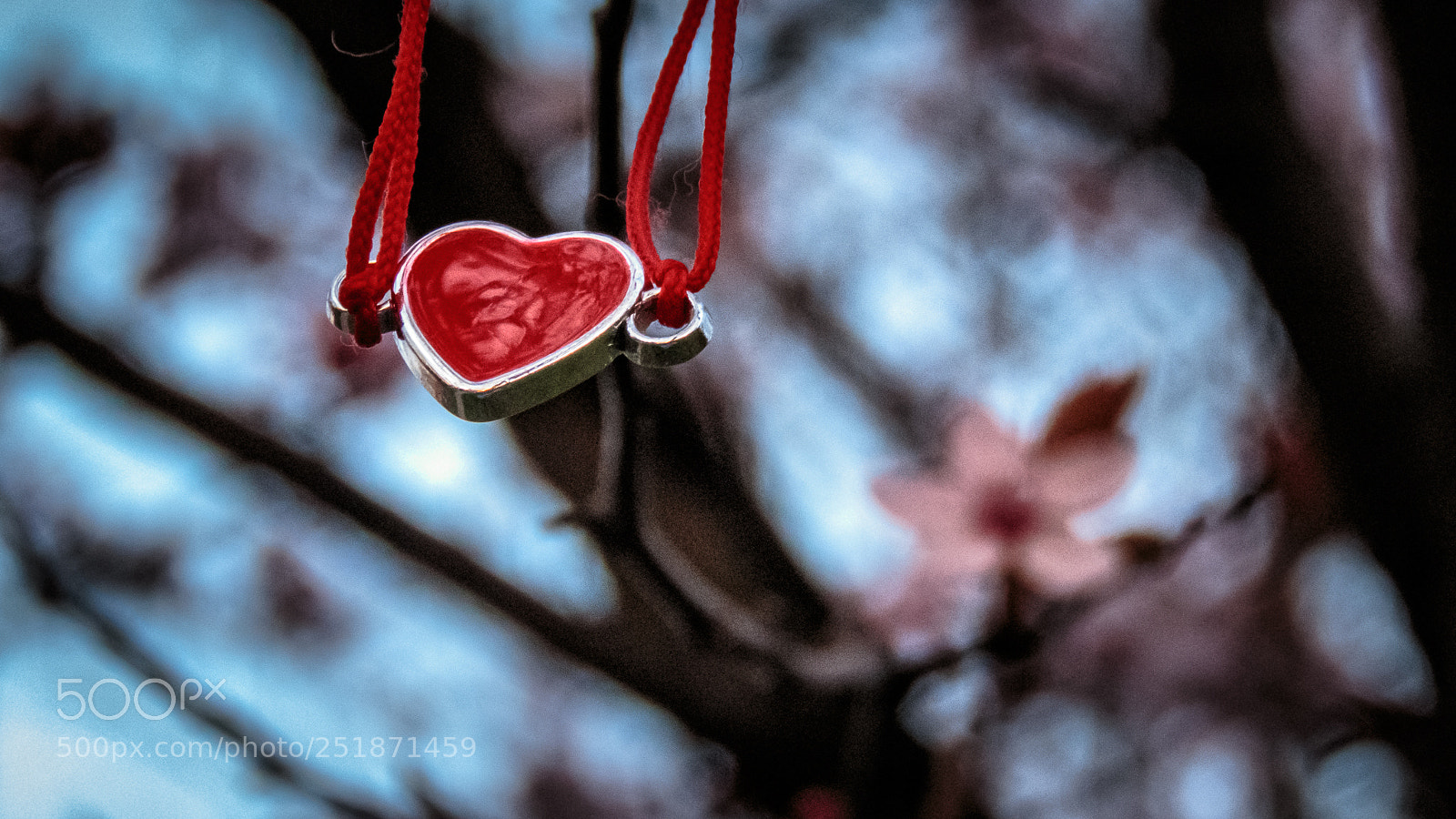 Canon PowerShot SX60 HS sample photo. Heart on a string photography