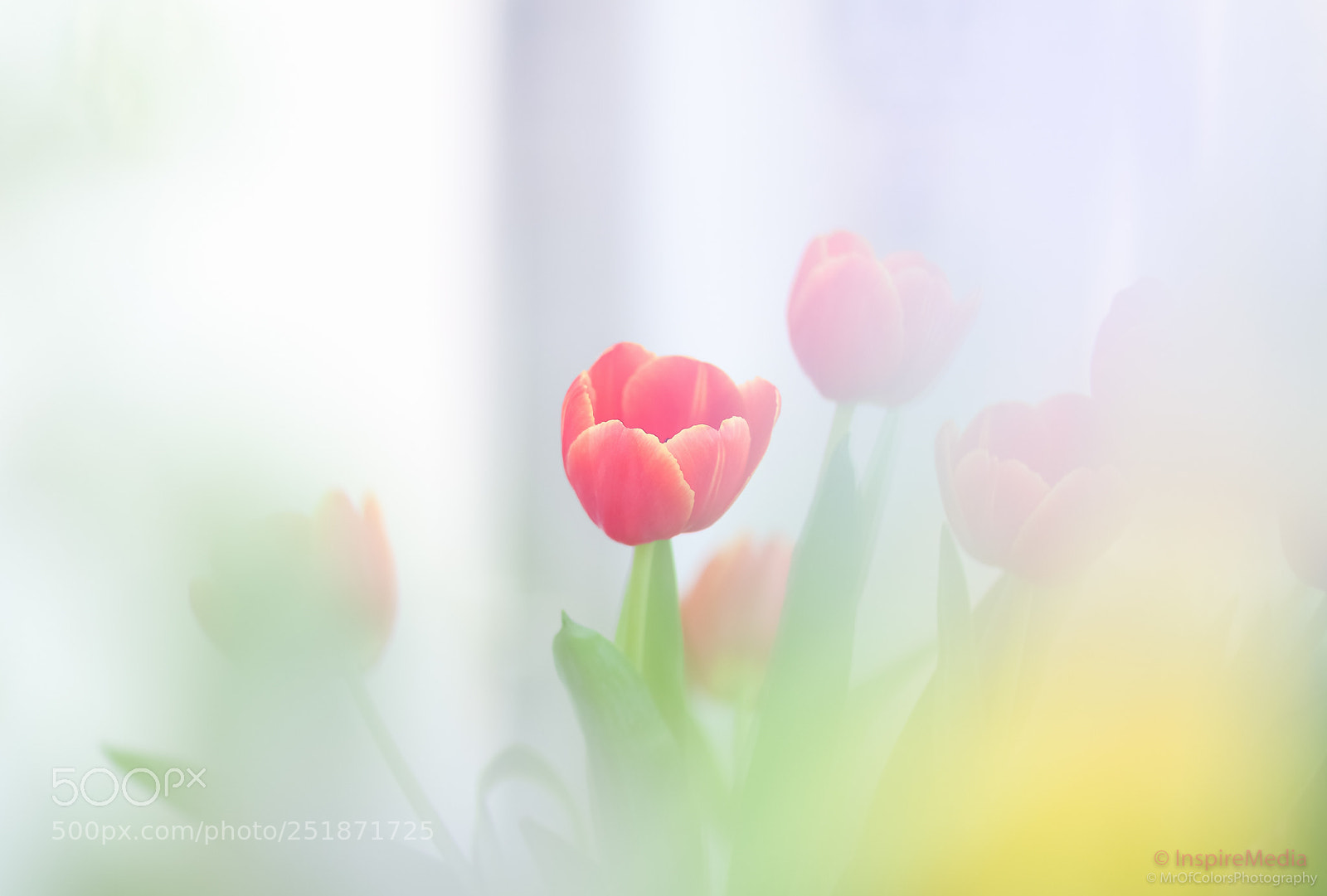 Canon EOS 80D sample photo. Colorful indoor easter fun photography