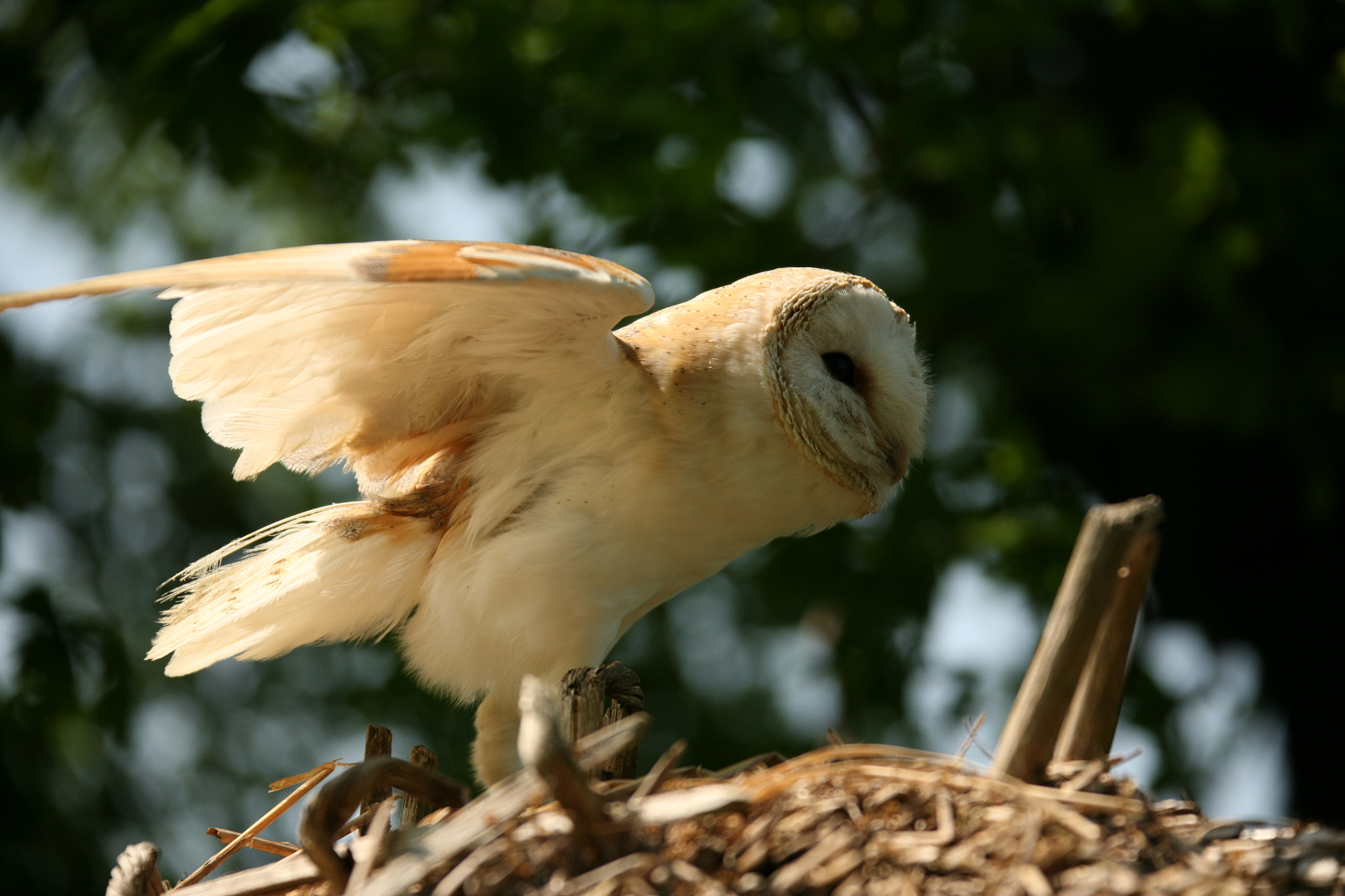 Canon EOS 5D sample photo. Img photography