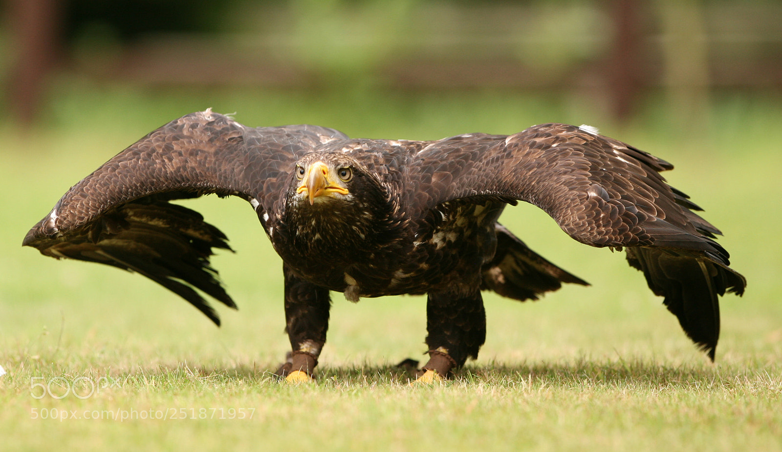 Canon EOS 5D sample photo. Img photography