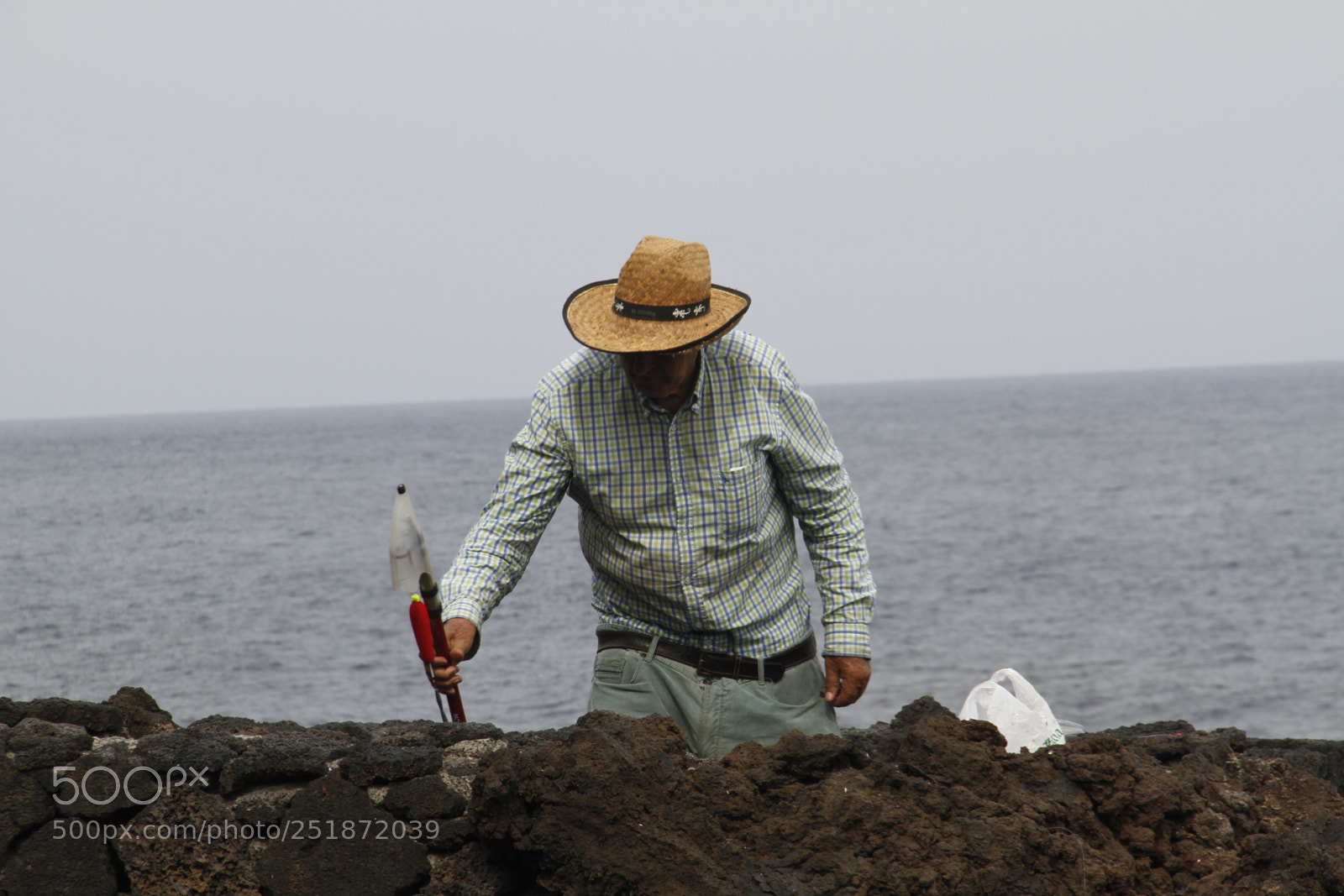 Canon EF-S 18-135mm F3.5-5.6 IS sample photo. Mg photography