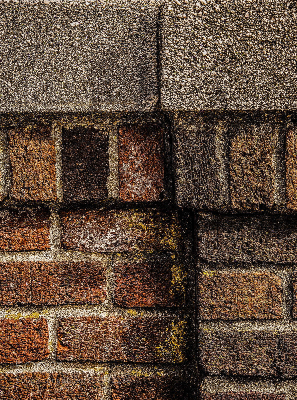 Nikon D610 sample photo. Textures photography