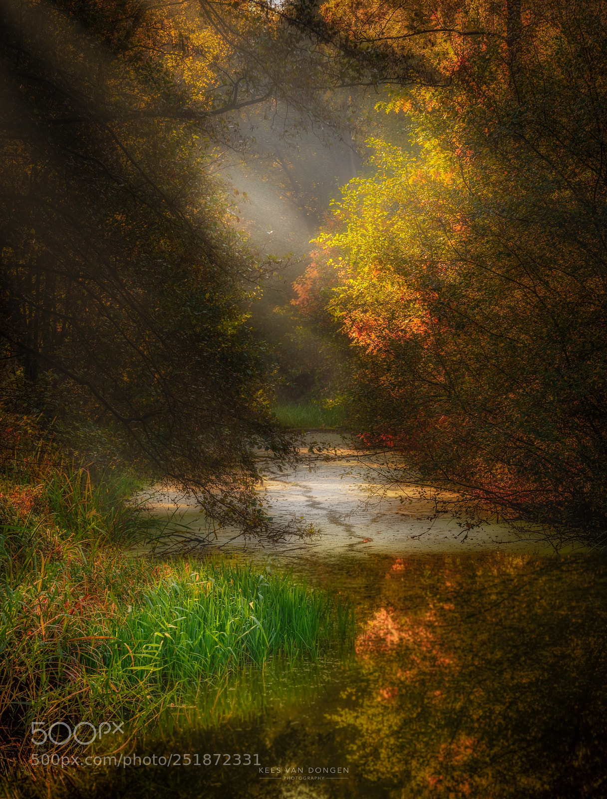 Nikon D800 sample photo. Griendtsveen photography