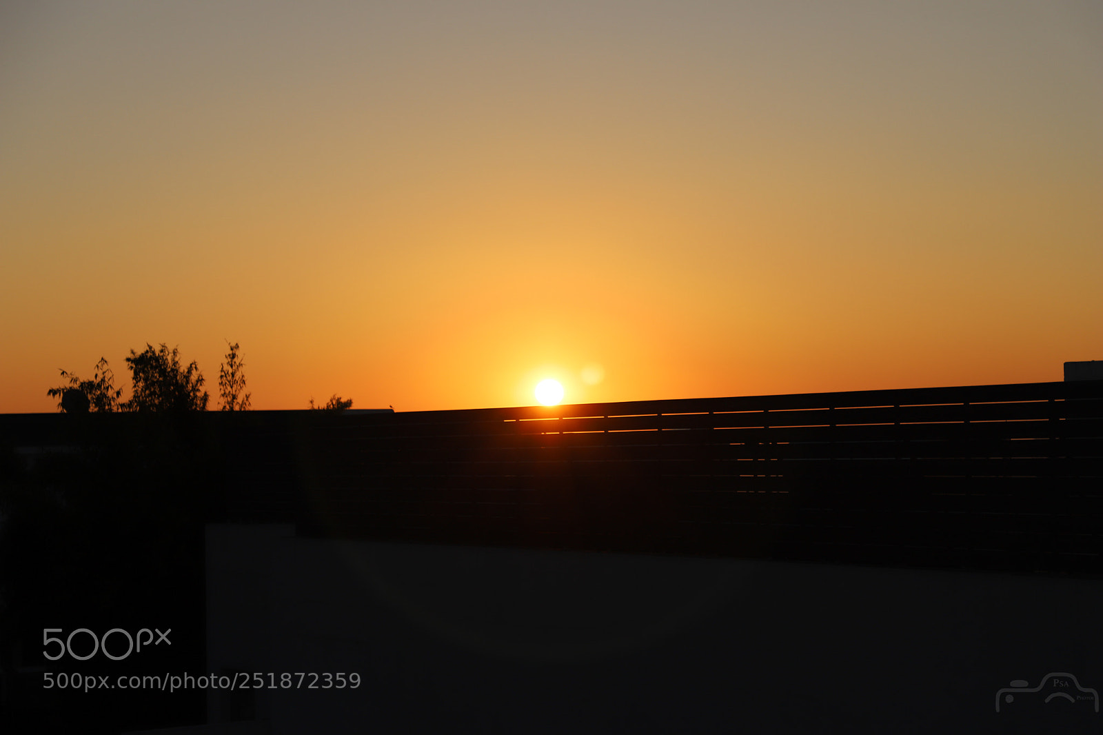 Canon EOS 6D Mark II sample photo. Day light photography