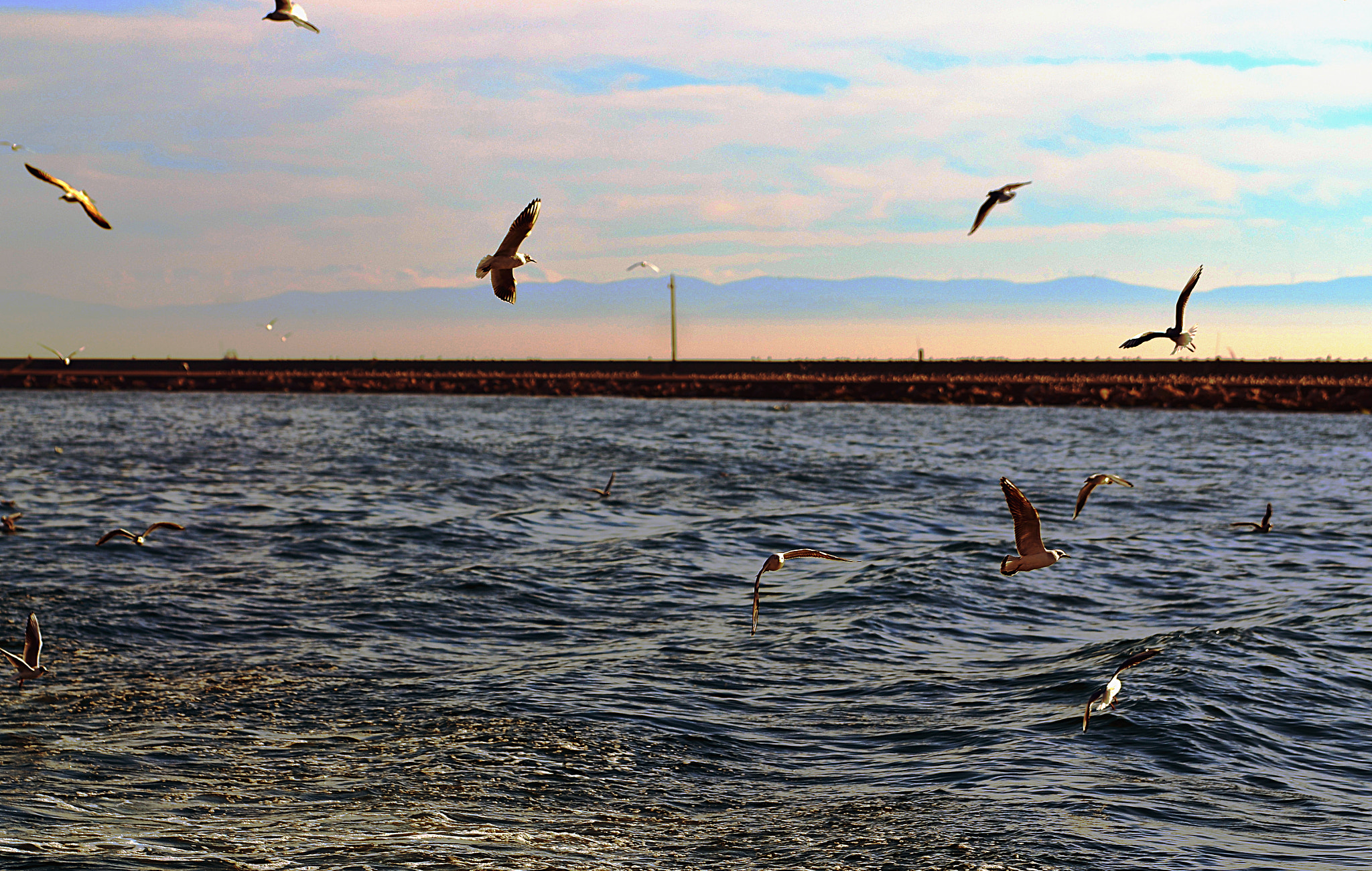 Nikon D7000 sample photo. Oa43 photography
