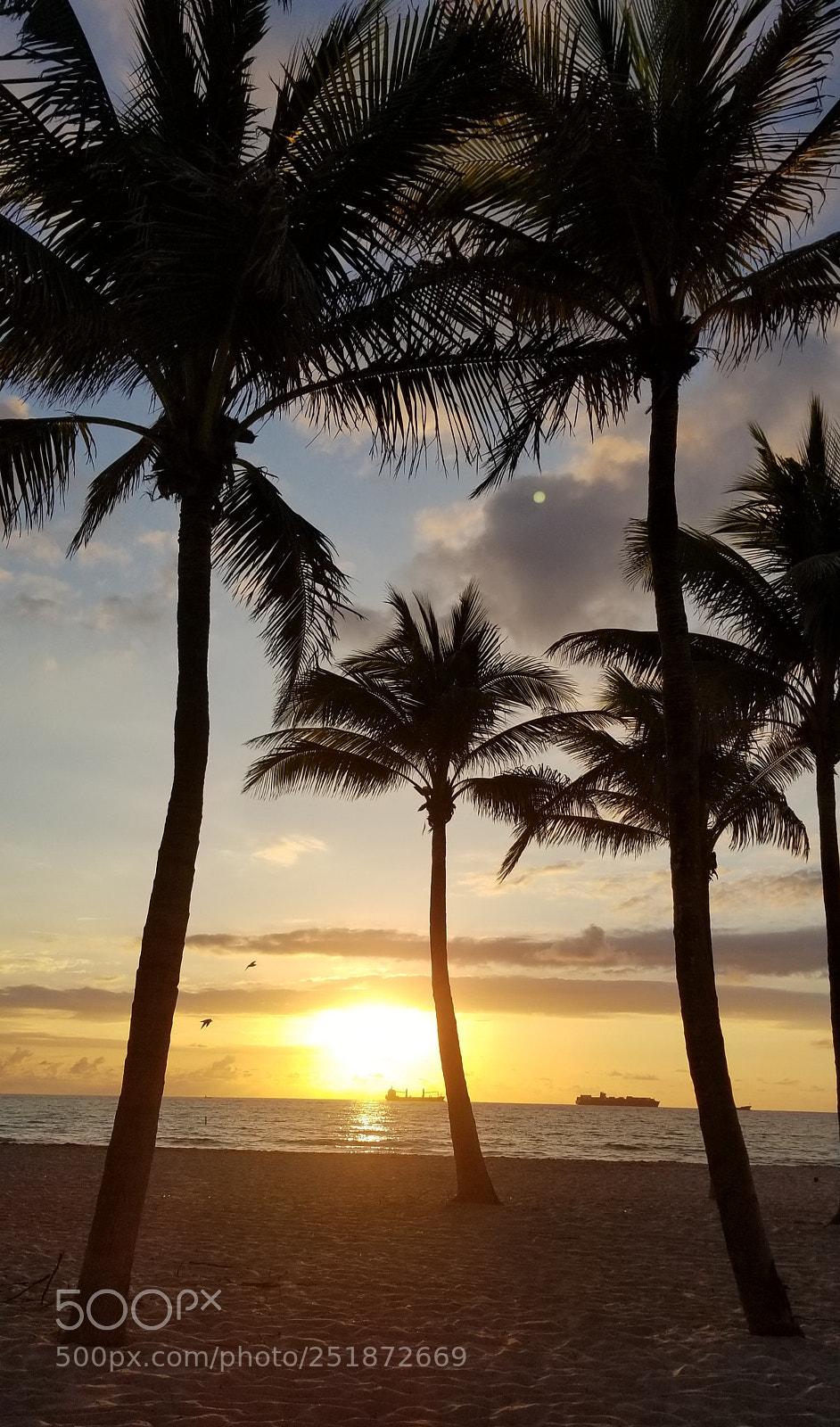 Samsung Galaxy S8+ sample photo. Sunrise fort lauderdale 4.2.18 photography