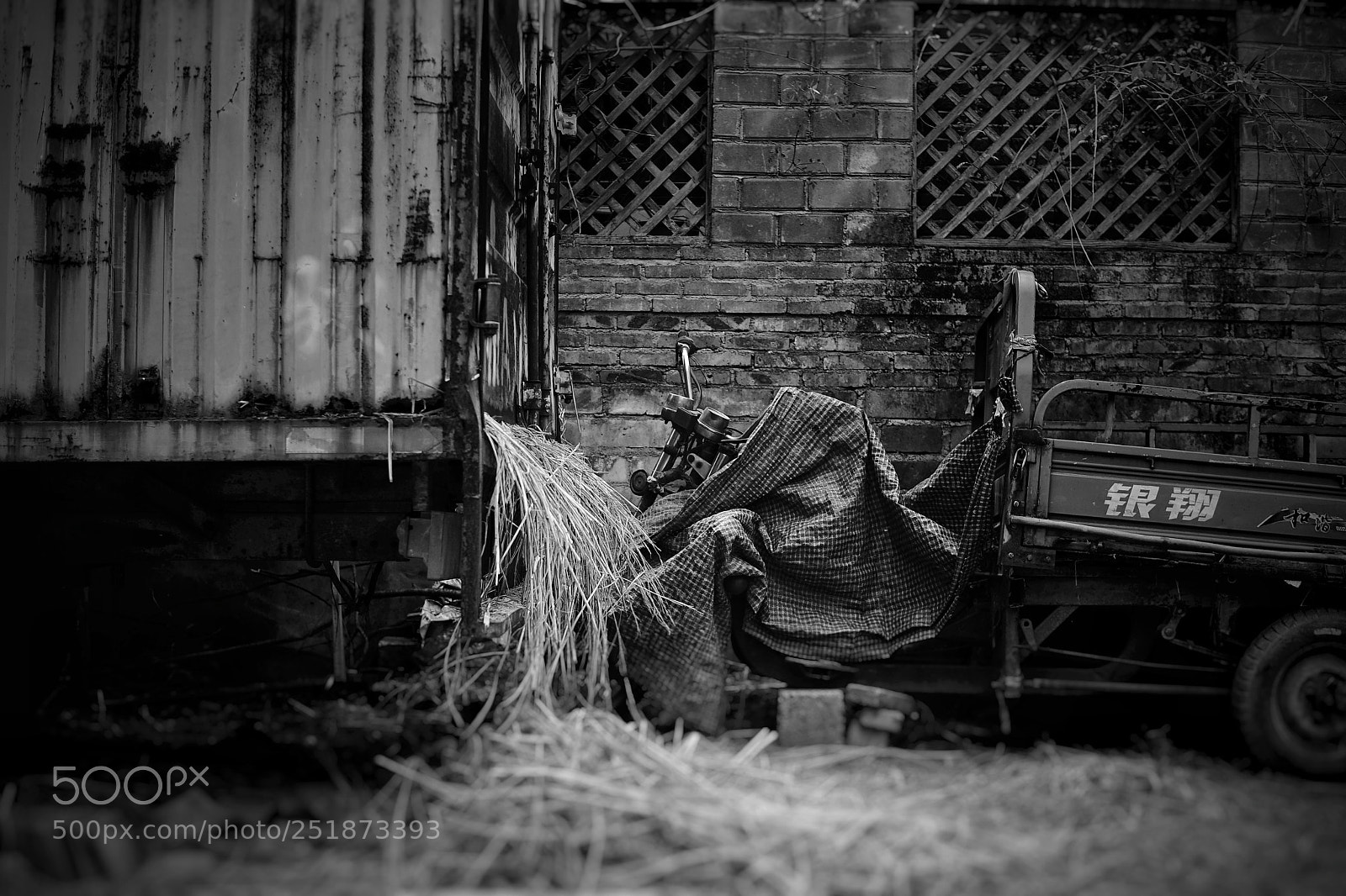 Sony a7 sample photo. Untitled photography